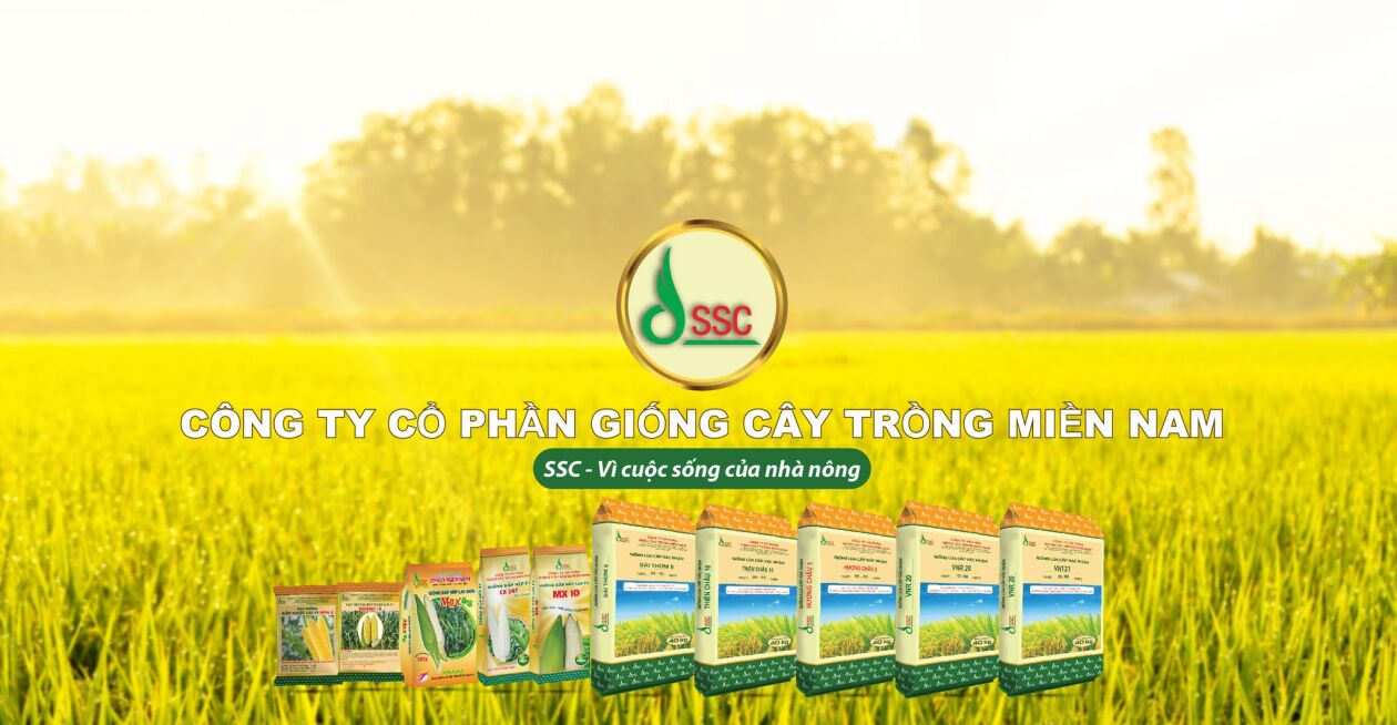 Cover image for Giống Cây Trồng Miền Nam