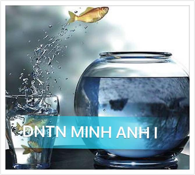 Cover image for Công Ty TNHH MTV Anh Minh Anh