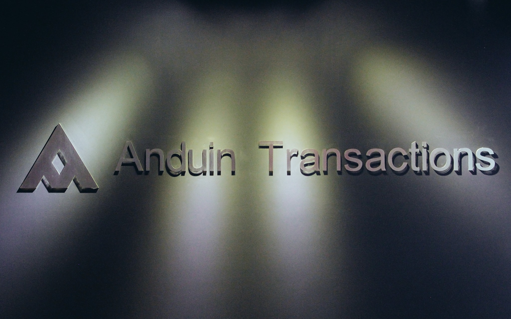 Cover image for Anduin Transactions
