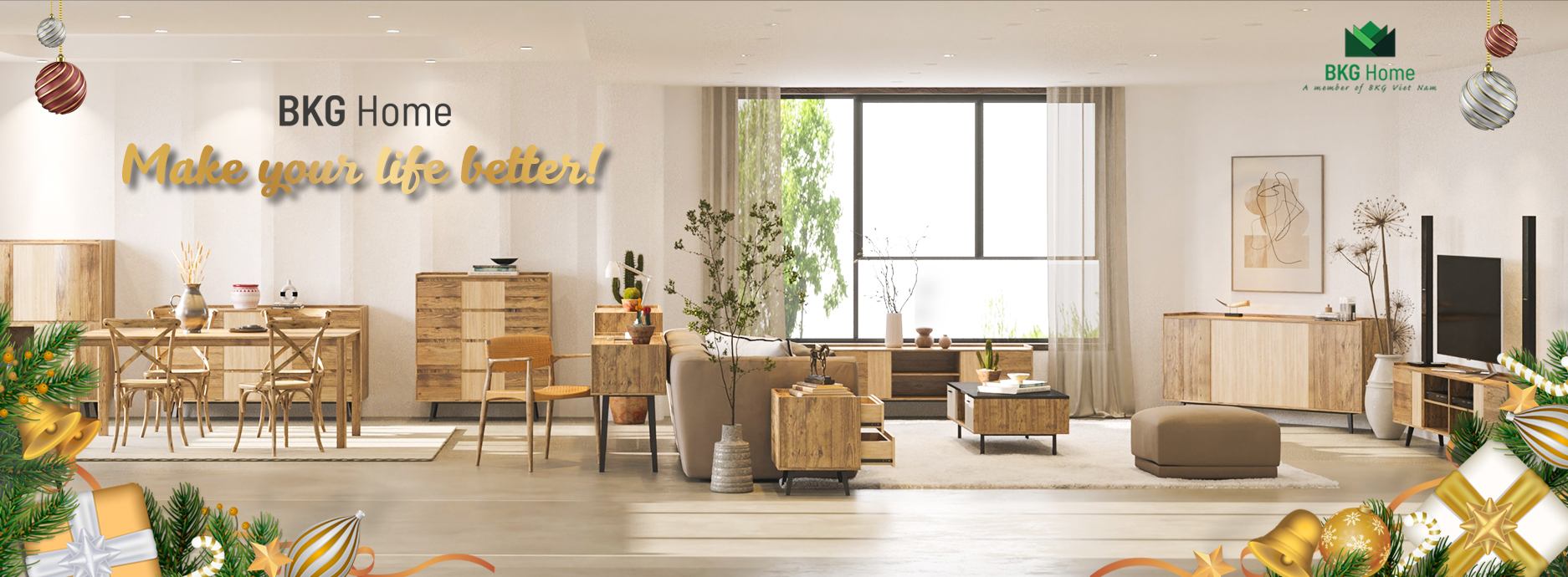 Cover image for BKG Việt Nam