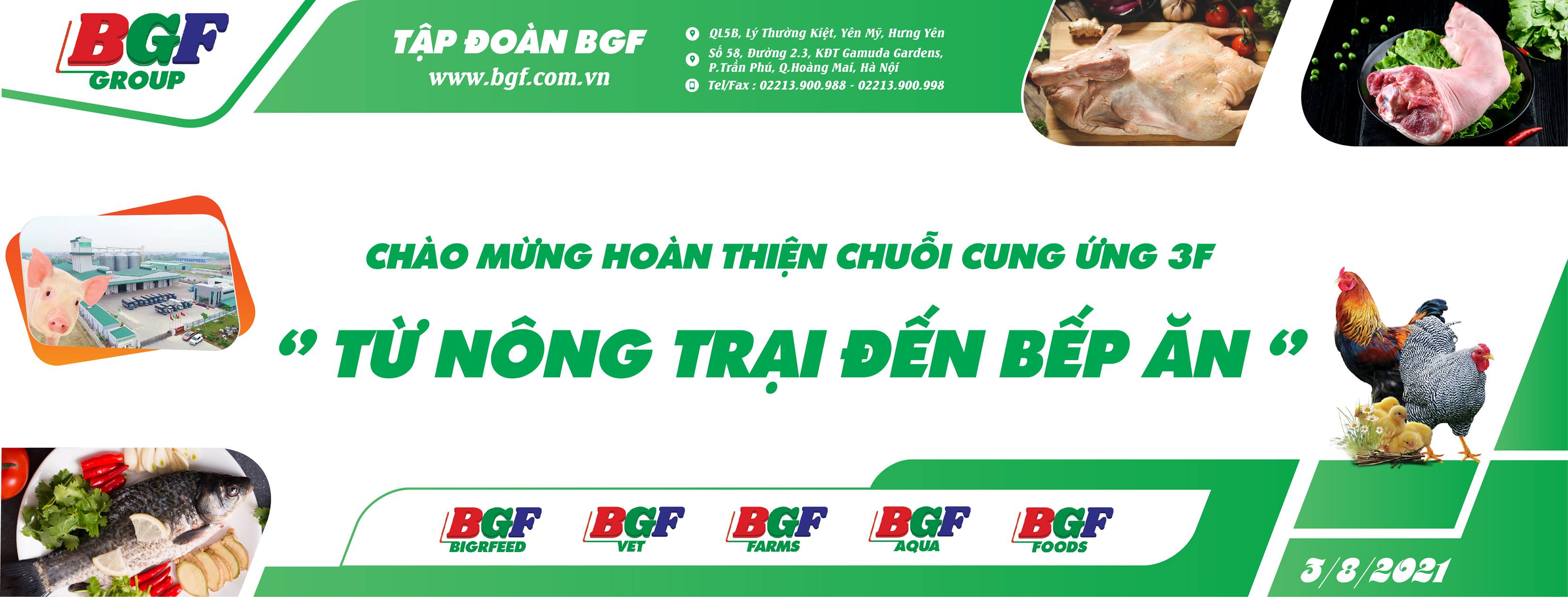 Cover image for Bigrfeed BGF