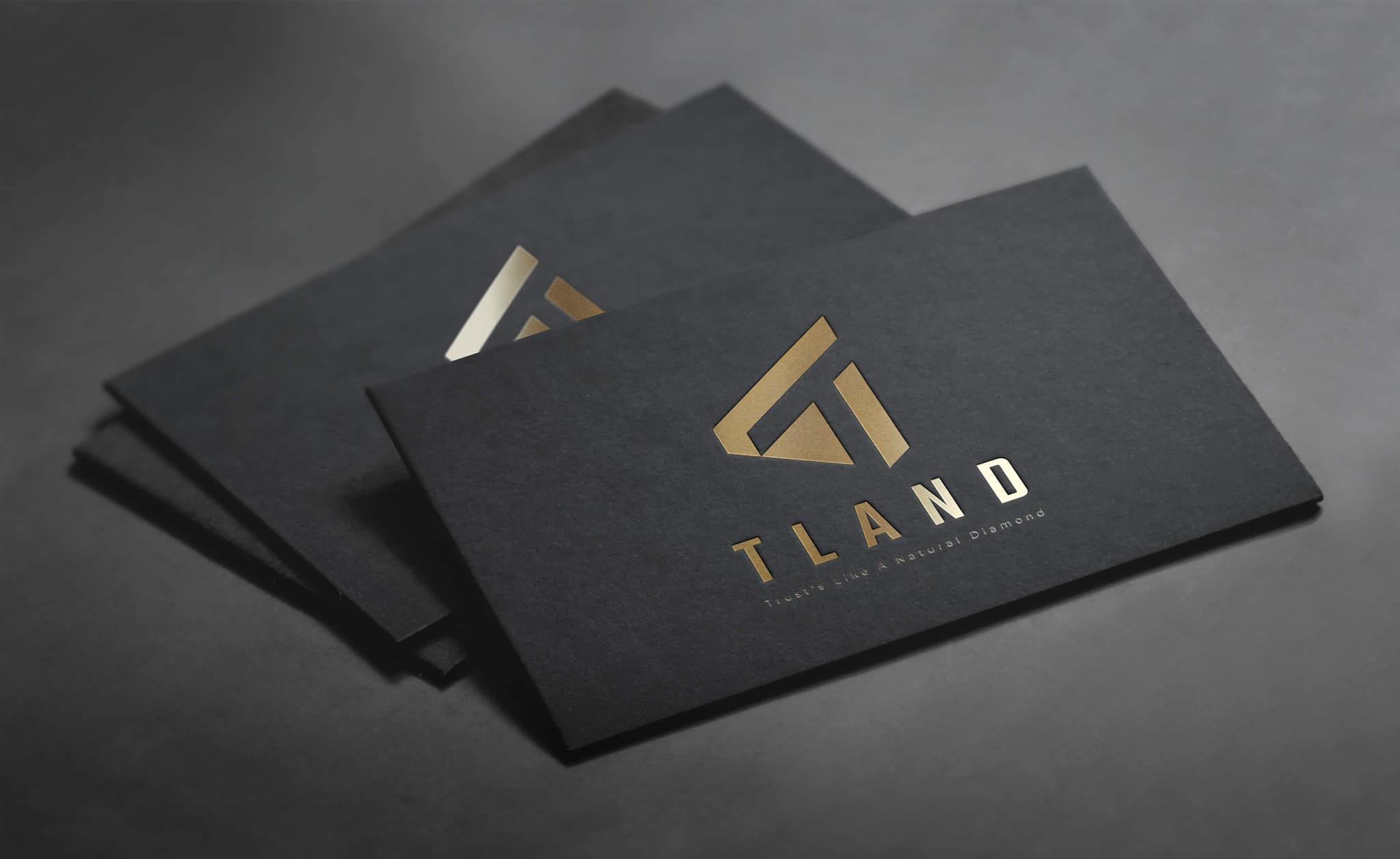 Cover image for ĐẦU TƯ THIỆN MỸ