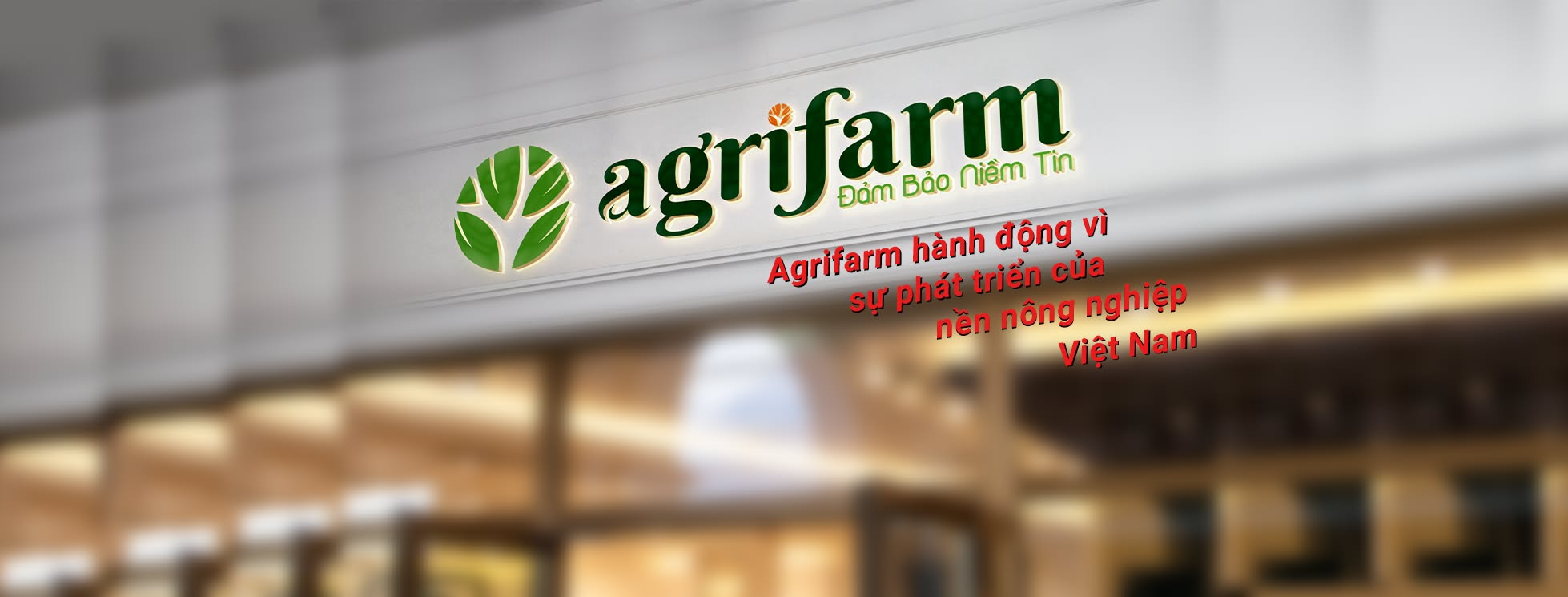 Cover image for Đầu tư và phát triển agrifarm