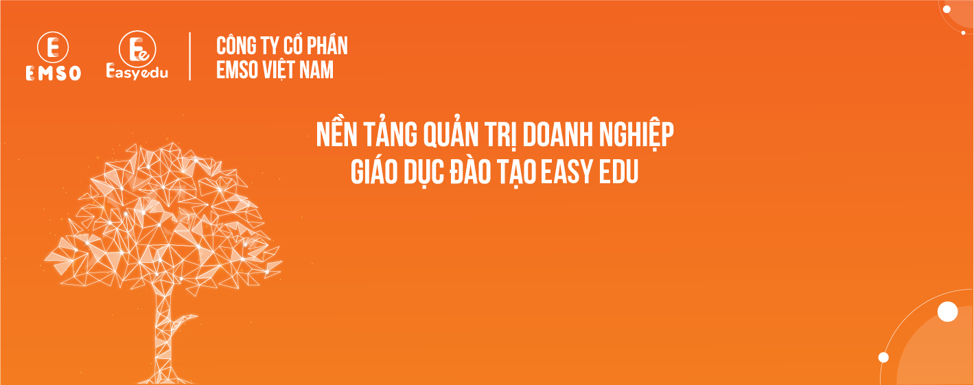 Cover image for EMSO VIỆT NAM