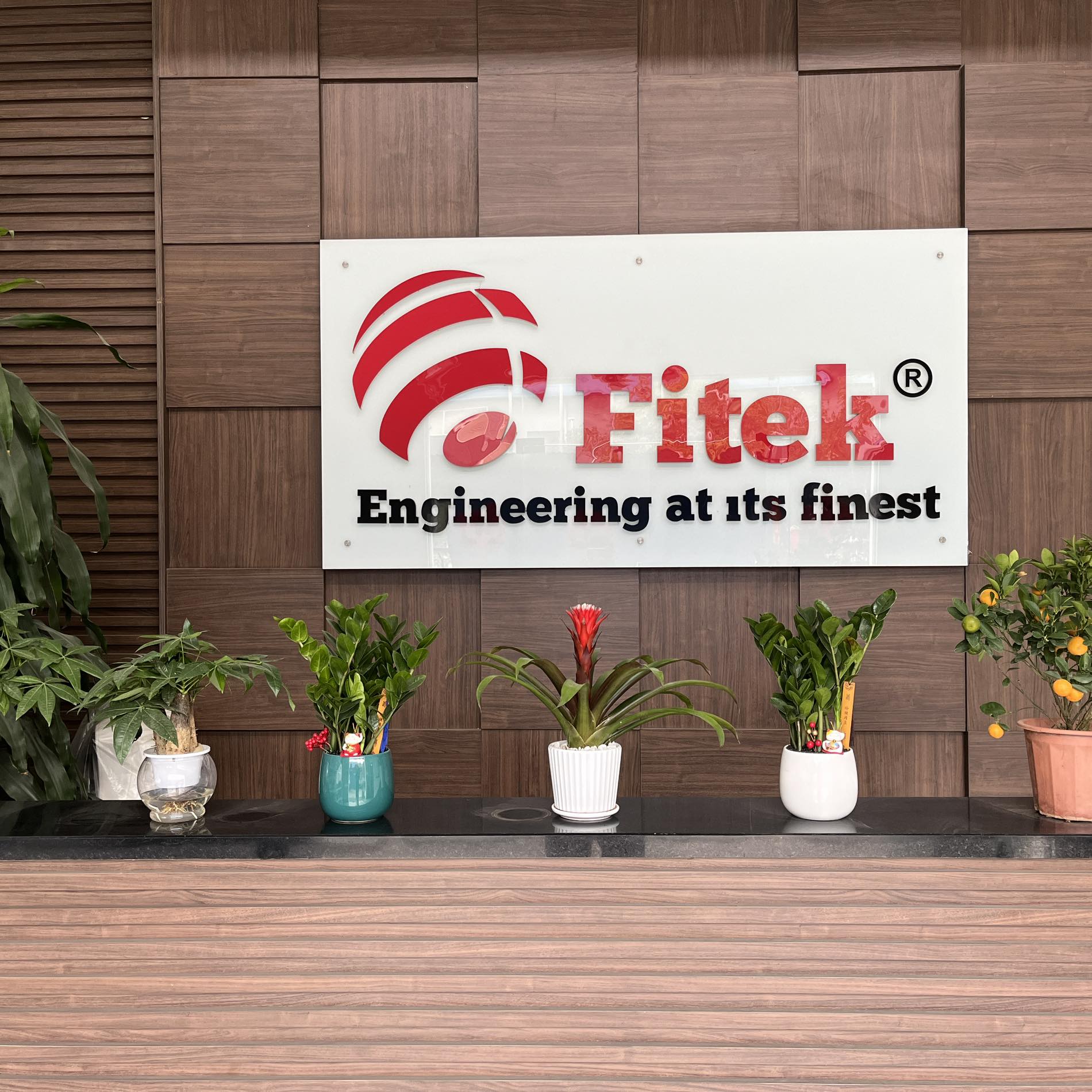 Cover image for FITEK Việt Nam