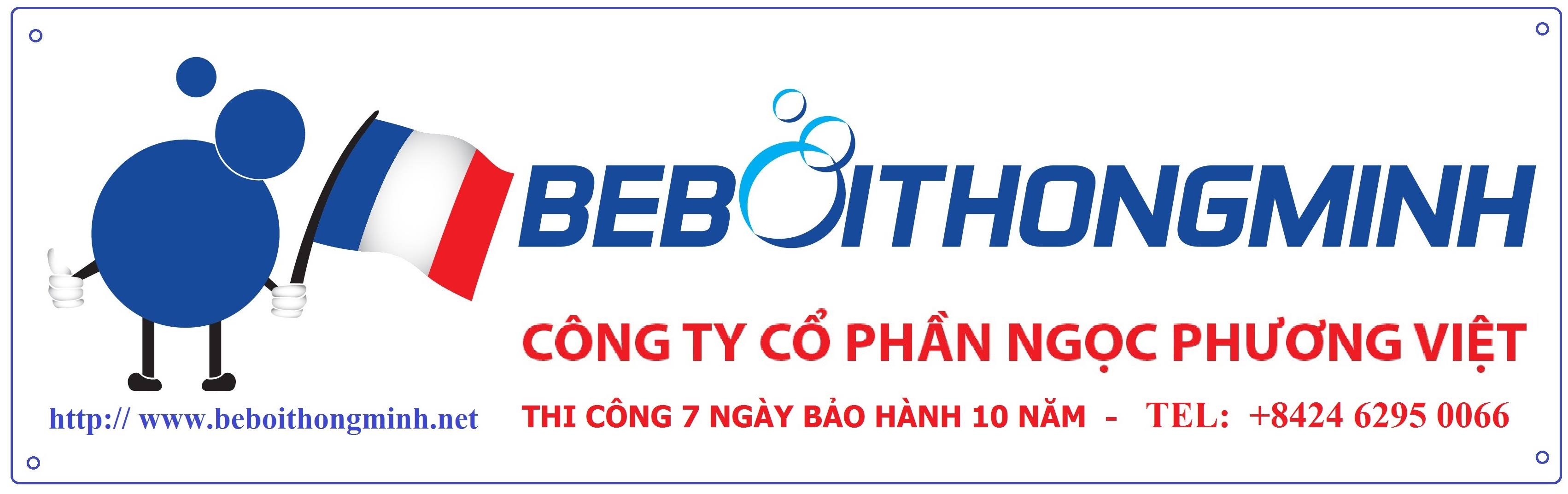 Cover image for Ngọc Phương Việt