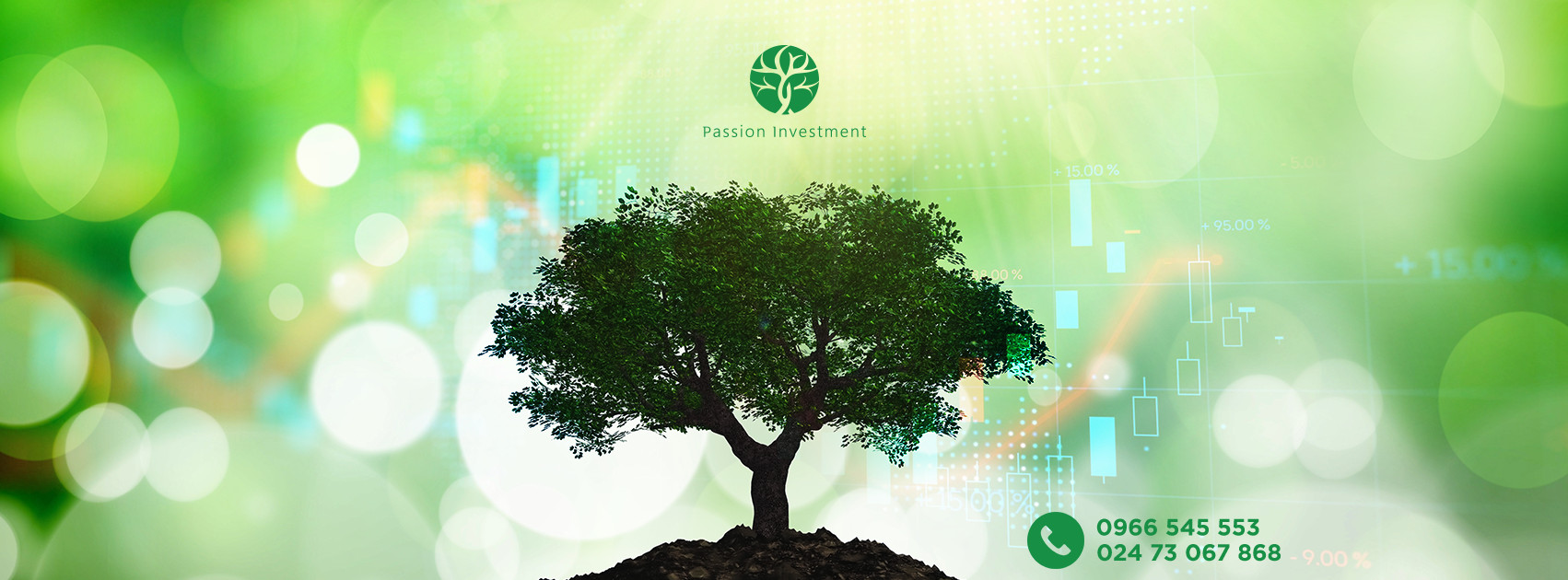 Cover image for Passion Investment