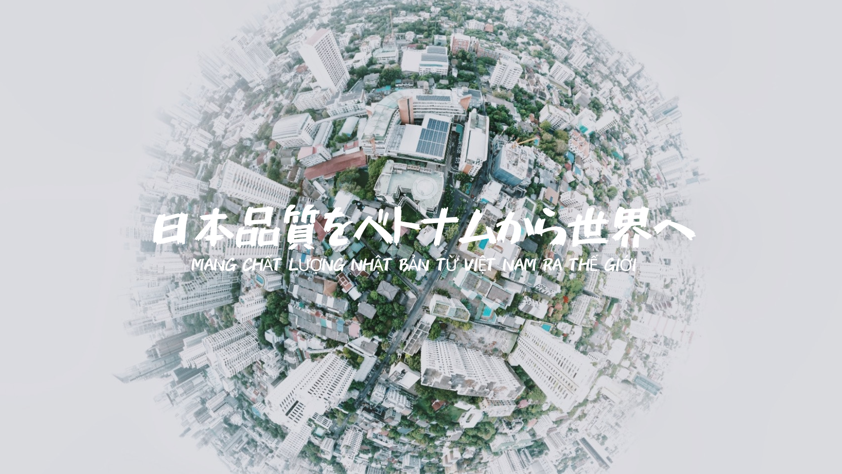 Cover image for POLE TO WIN VIỆT NAM