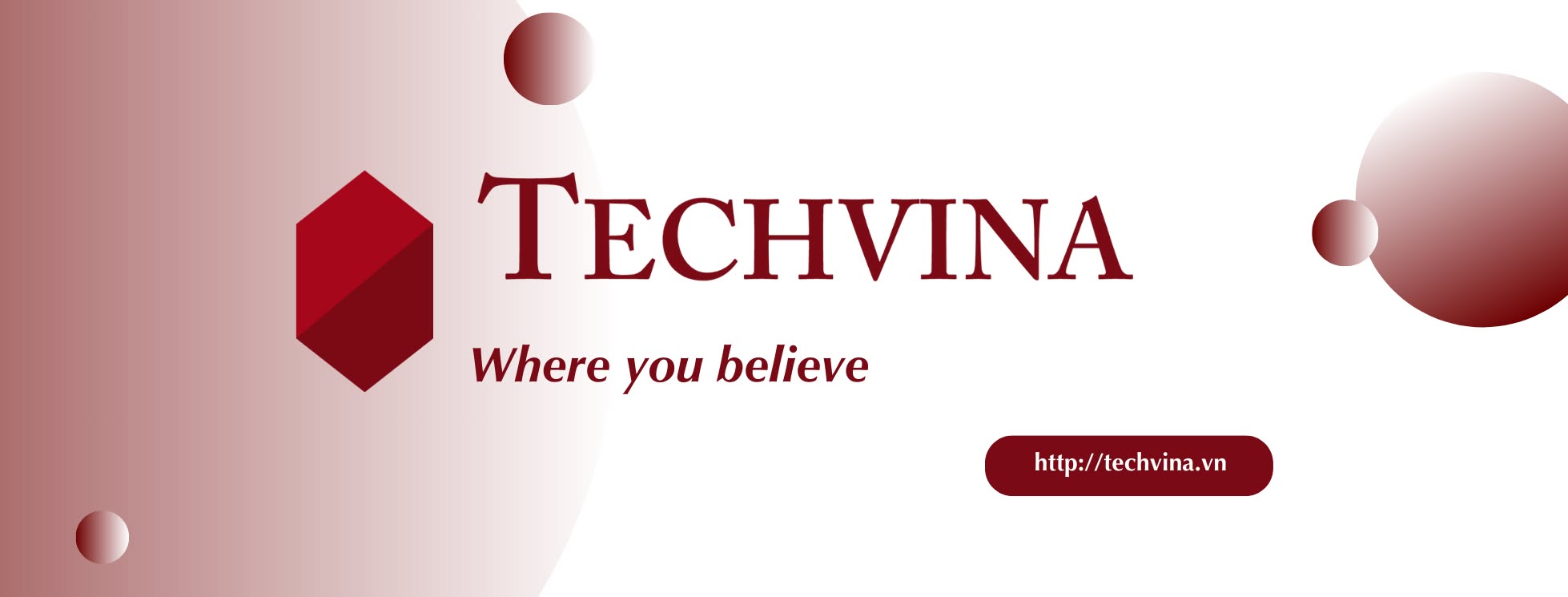 Cover image for TechVina