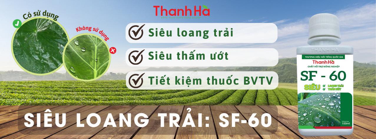 Cover image for Thanh Hà