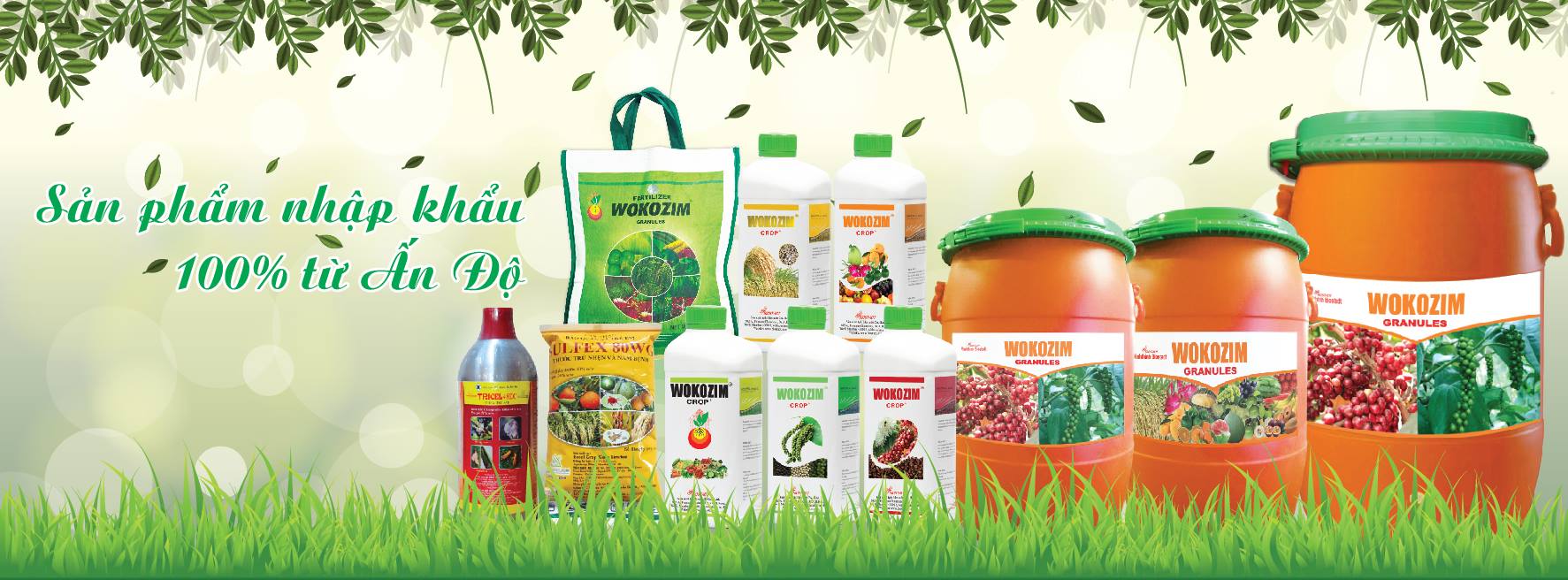 Cover image for Vĩnh Thịnh