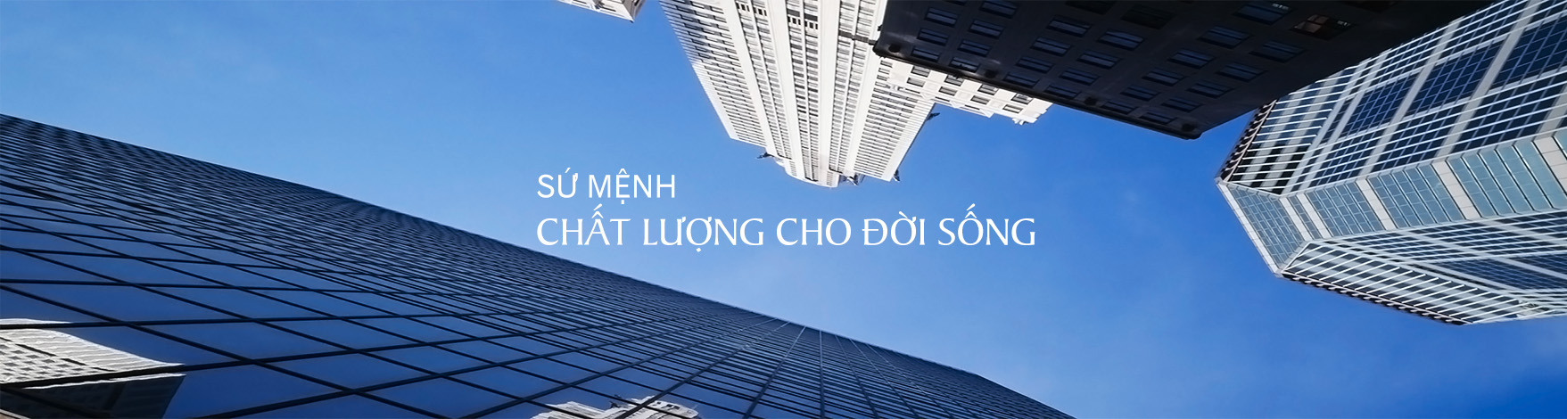 Cover image for THÉP NHÂN LUẬT