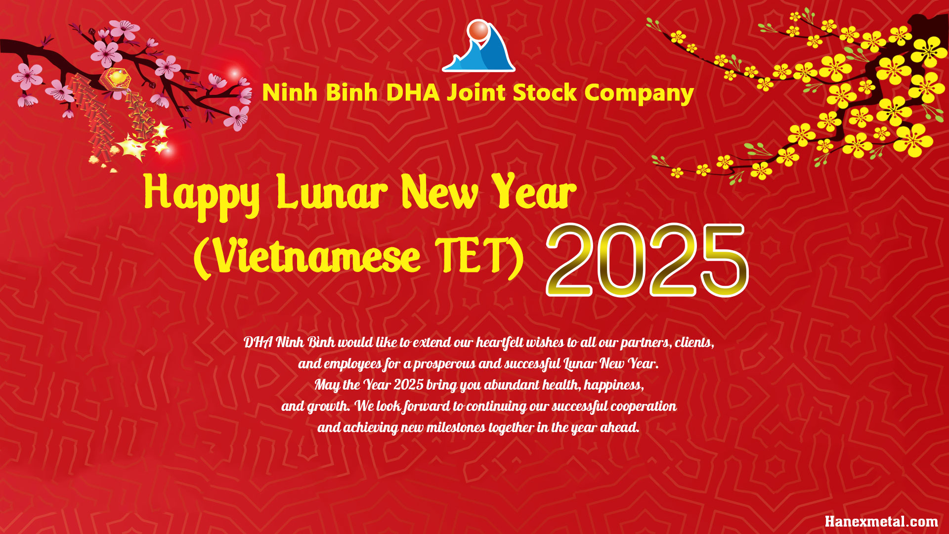 Cover image for DHA Ninh Bình