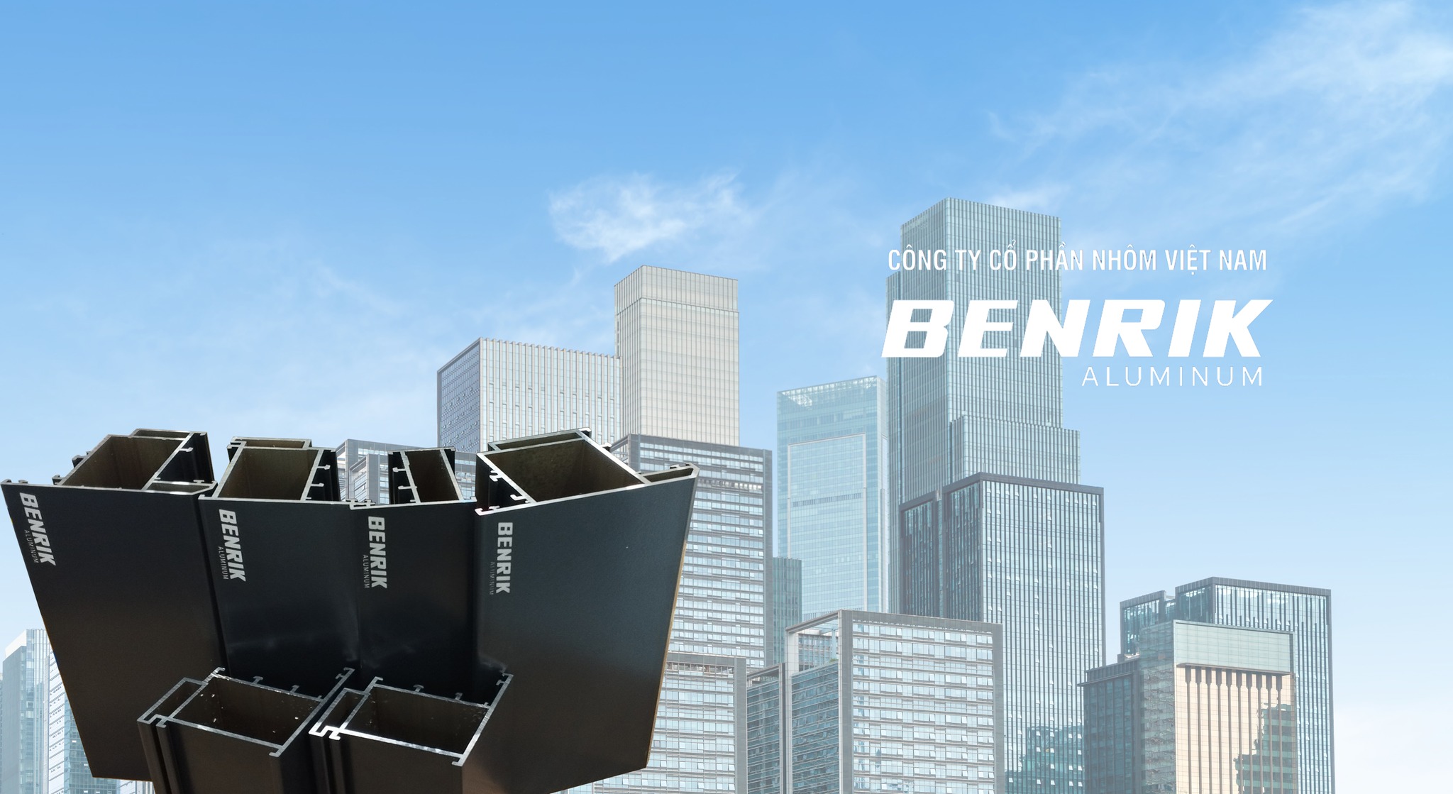 Cover image for Nhôm Việt Nam