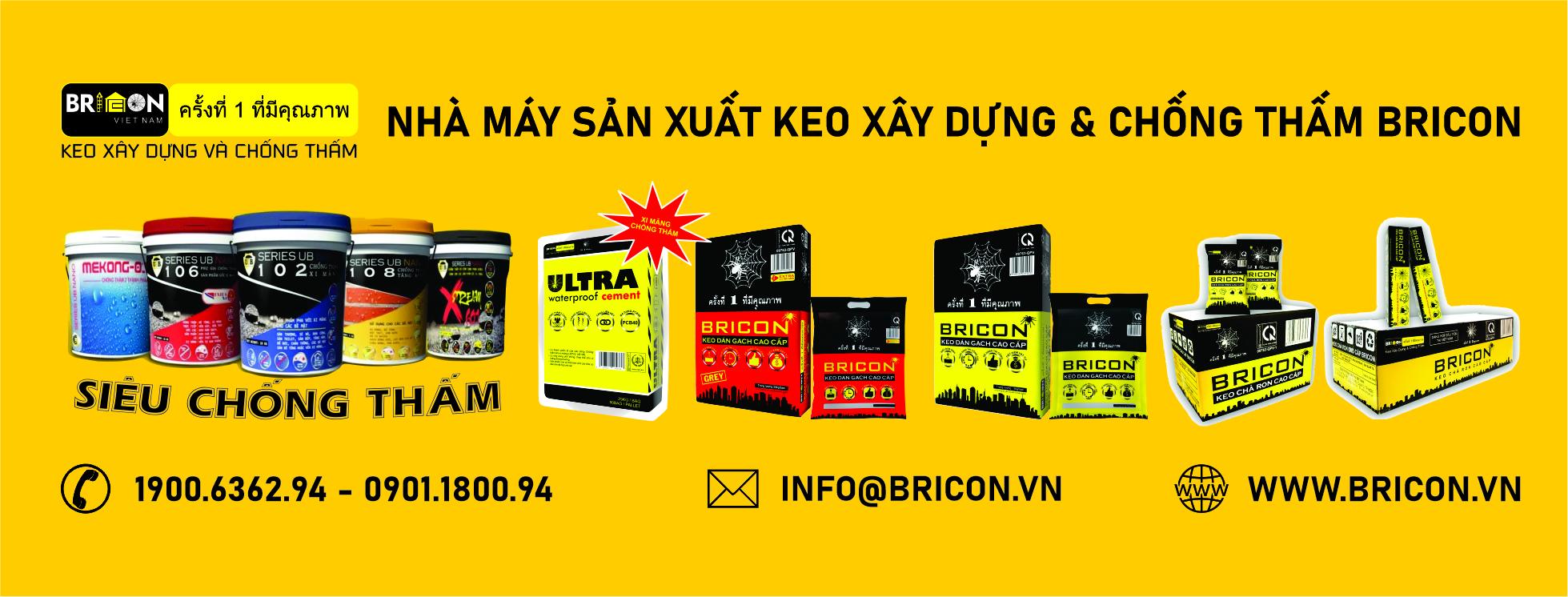 Cover image for BRICON VIỆT NAM