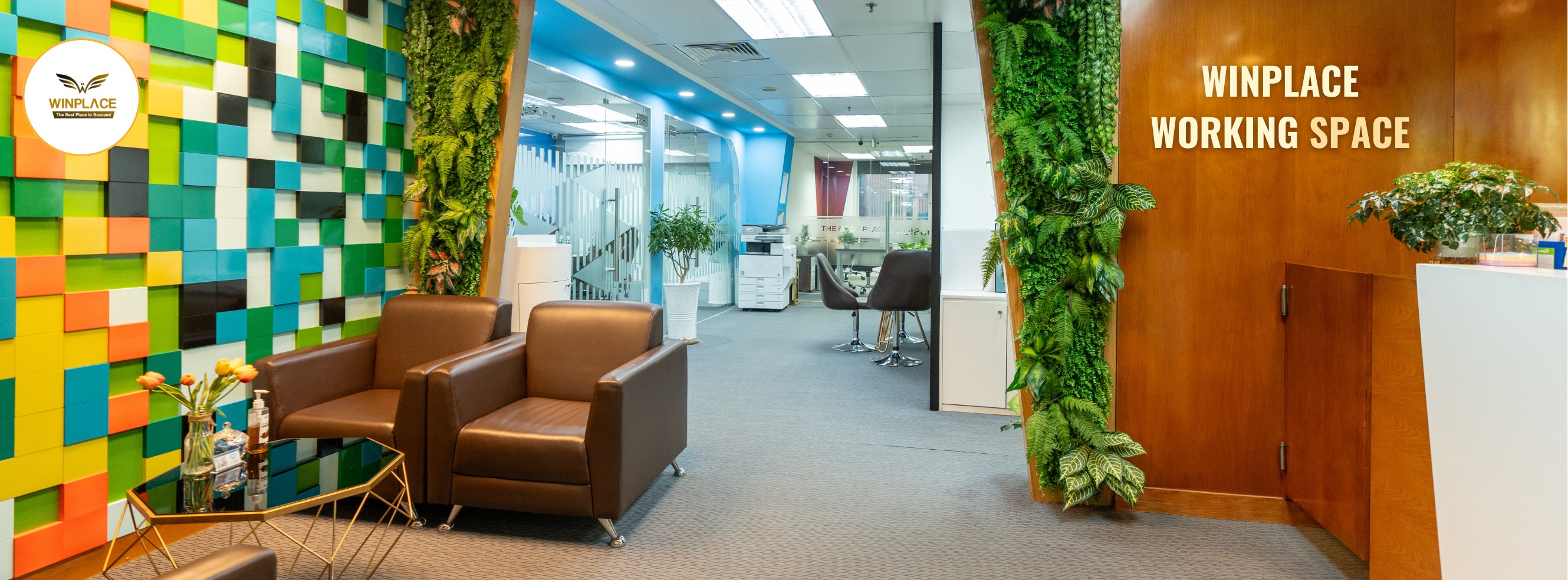 Cover image for Winplace