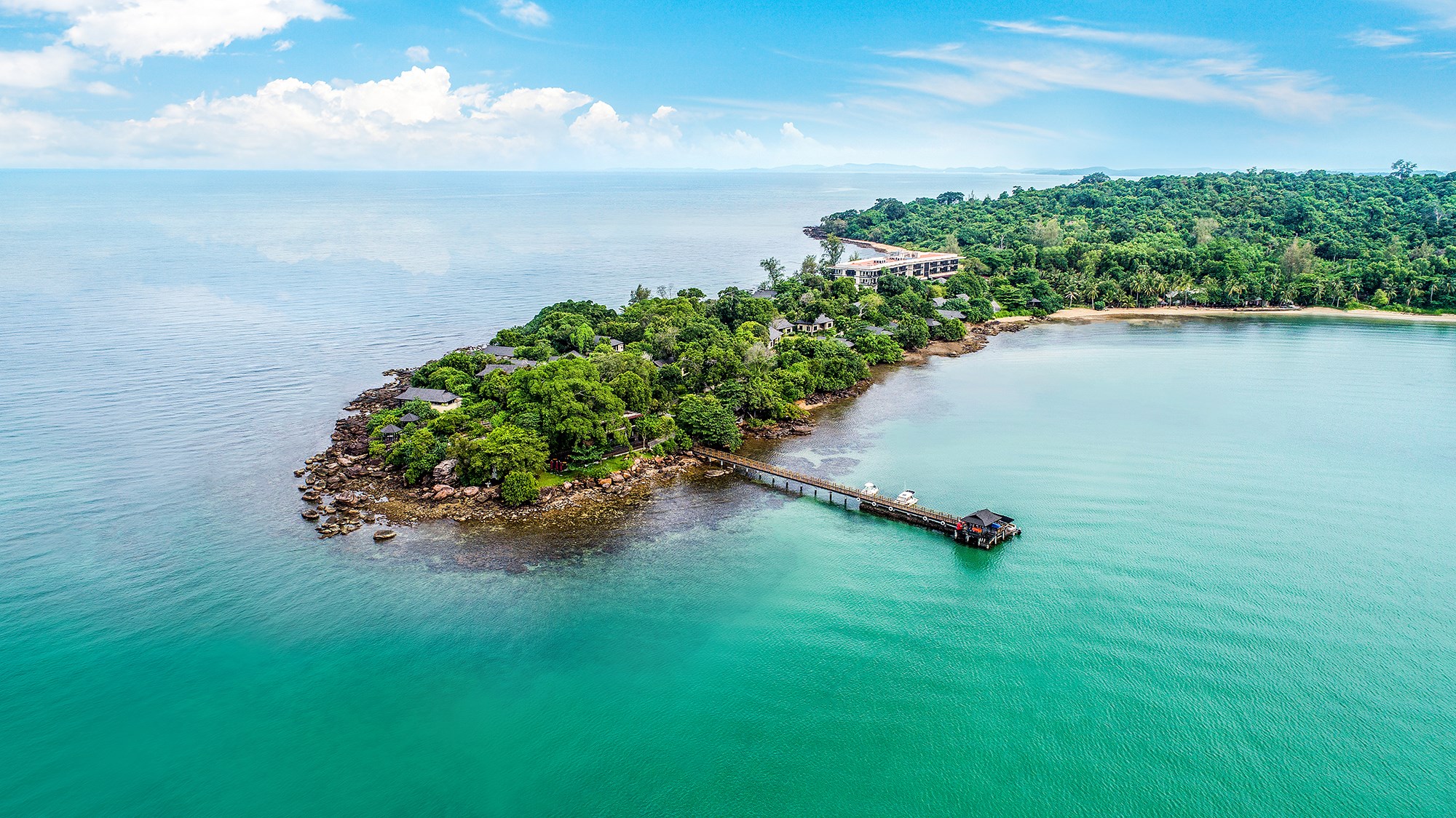 Cover image for DESIGNLIVE