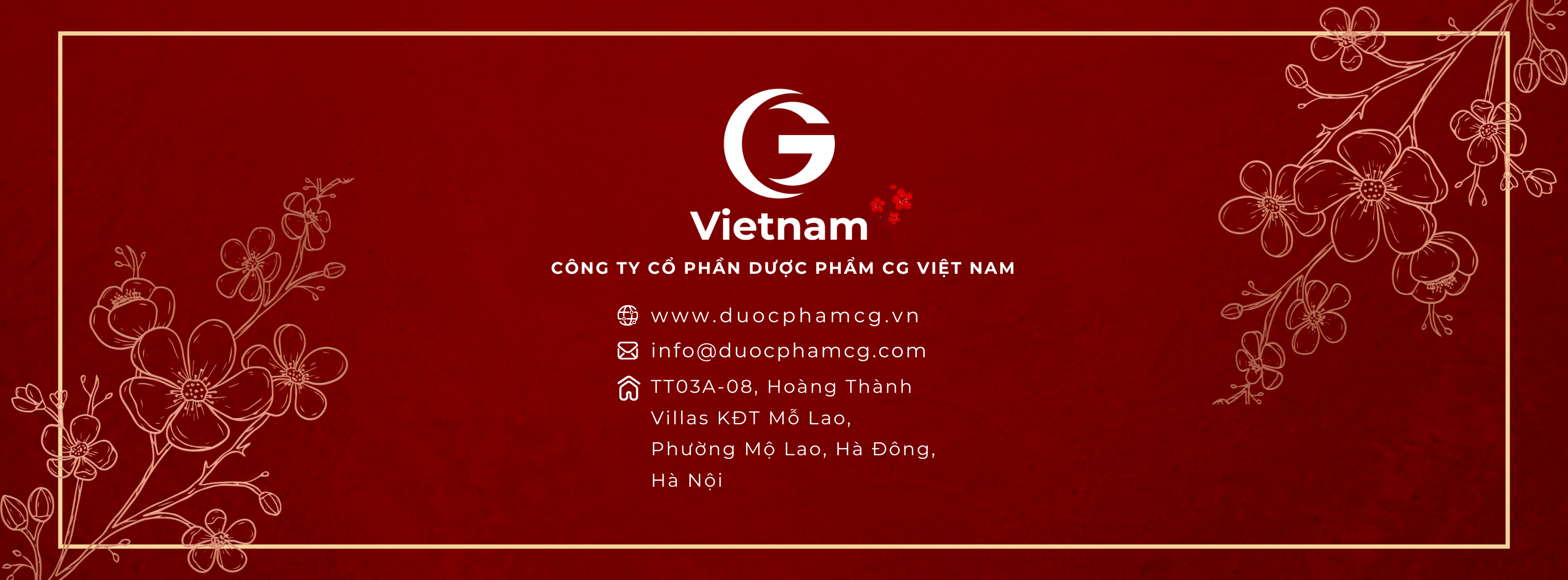 Cover image for Dược Phẩm CG Việt Nam