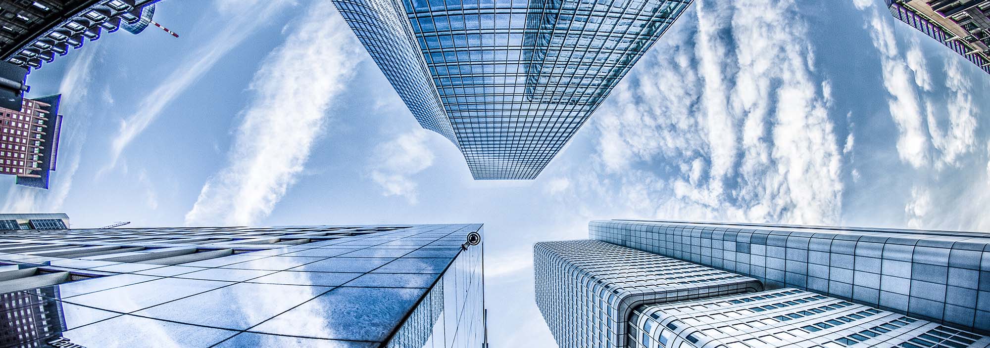 Cover image for King Asian - Thương hiệu Thiên Minh Capital