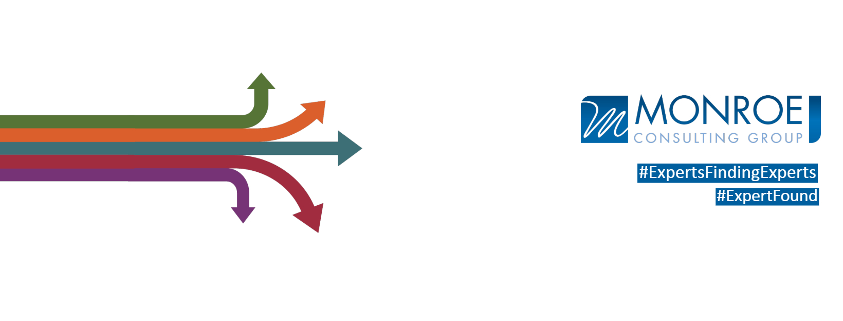 Cover image for Monroe Consulting Group Vietnam