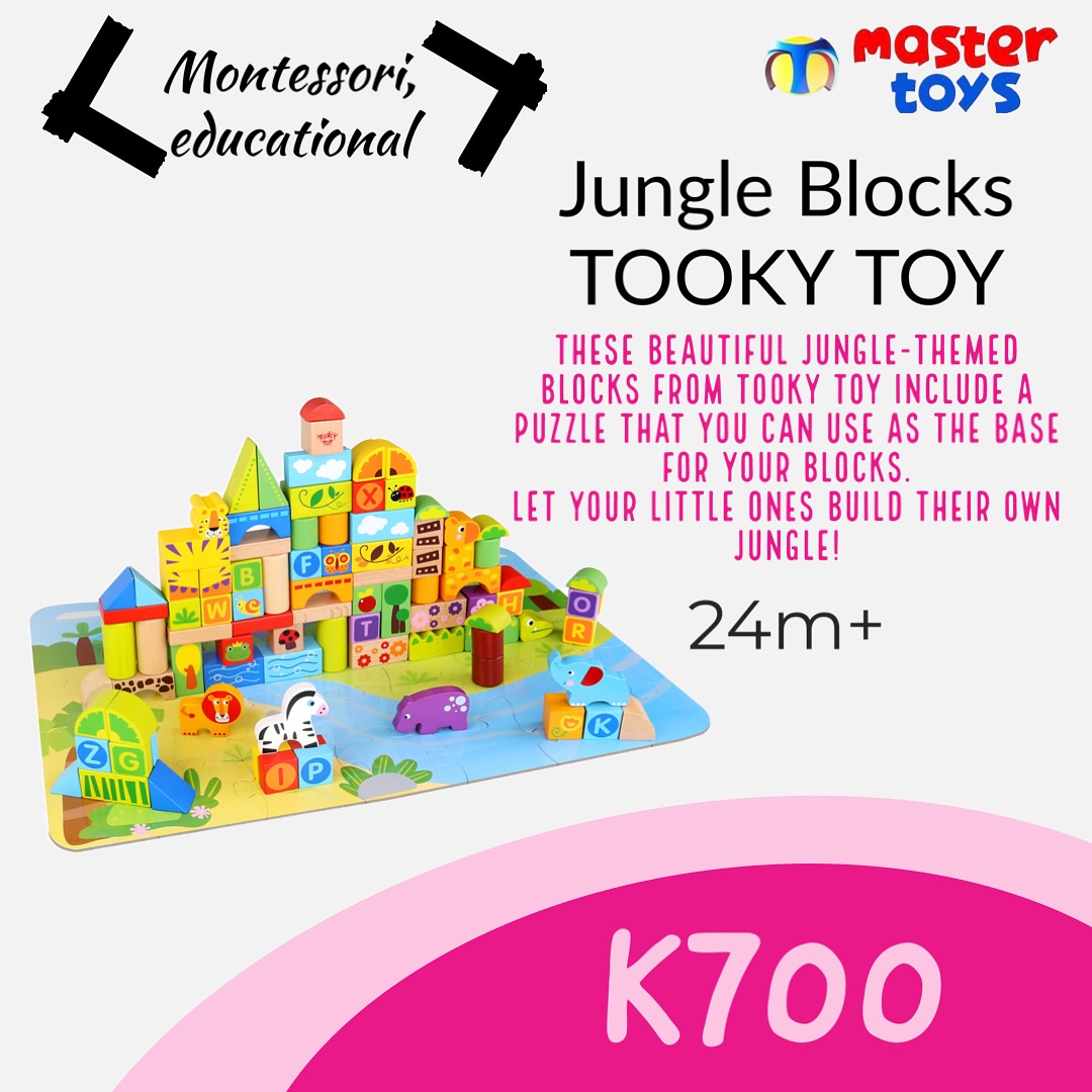 Cover image for Master Vina