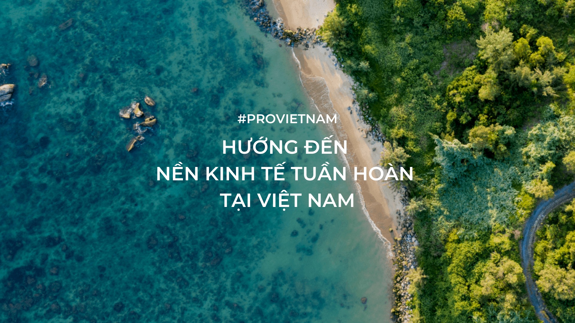 Cover image for Provn