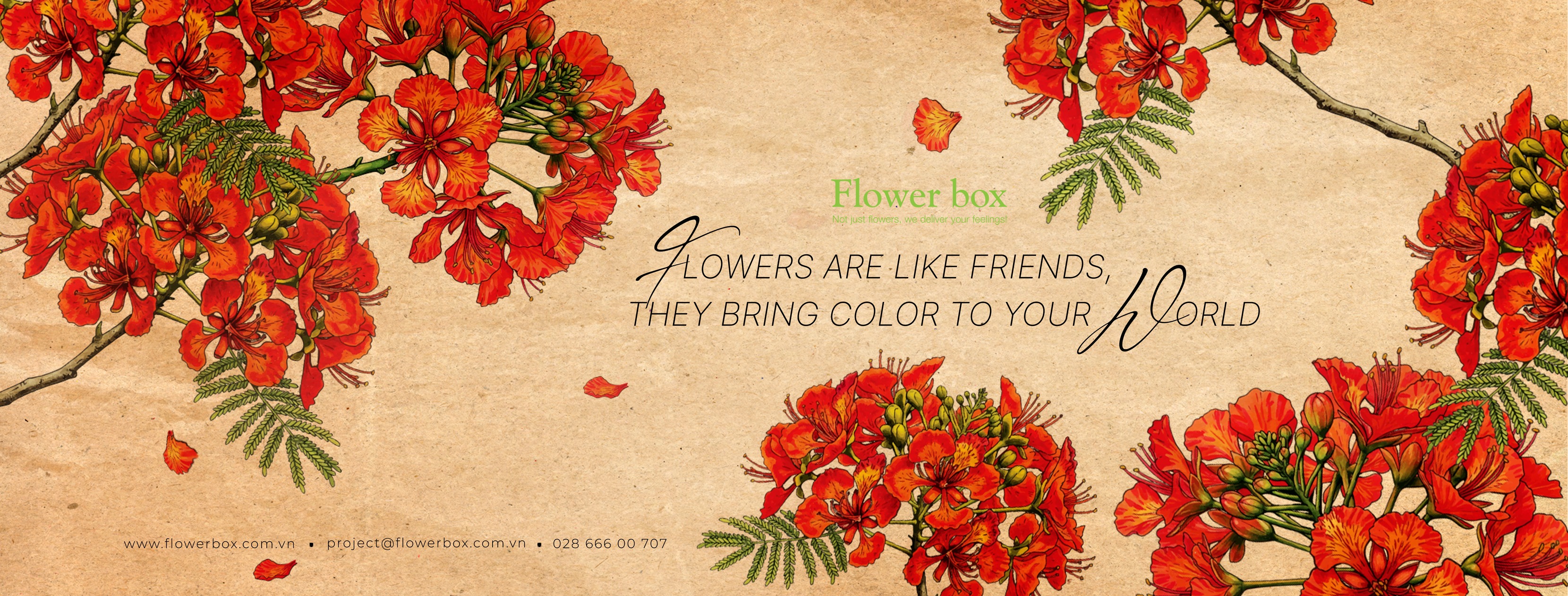 Cover image for Thuận Lê Group