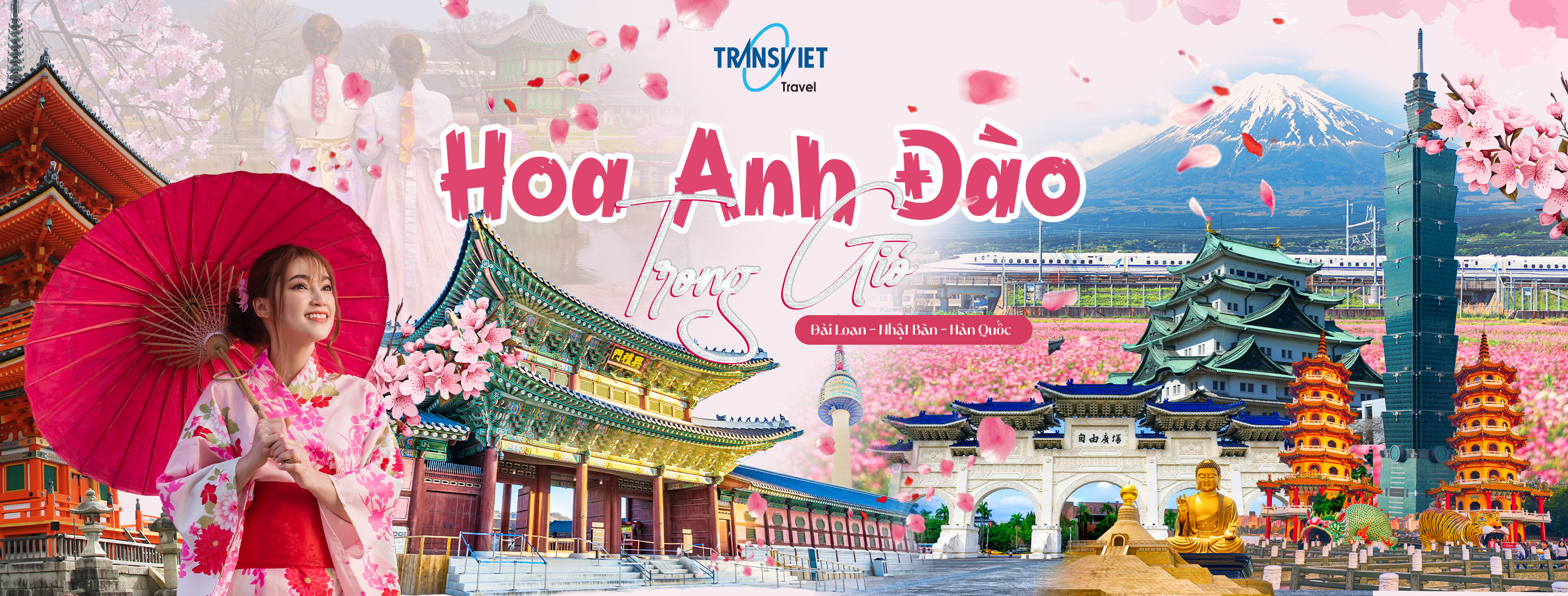 Cover image for Logistic Transviet