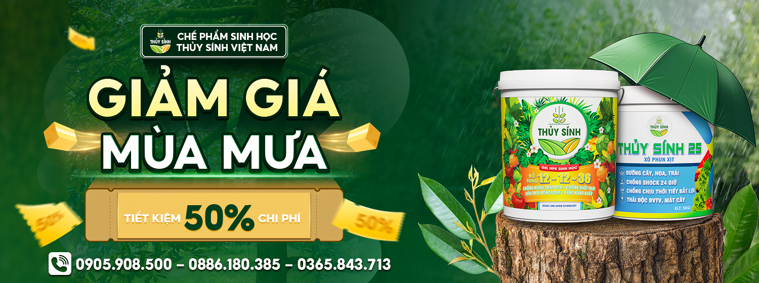 Cover image for Thủy Sính