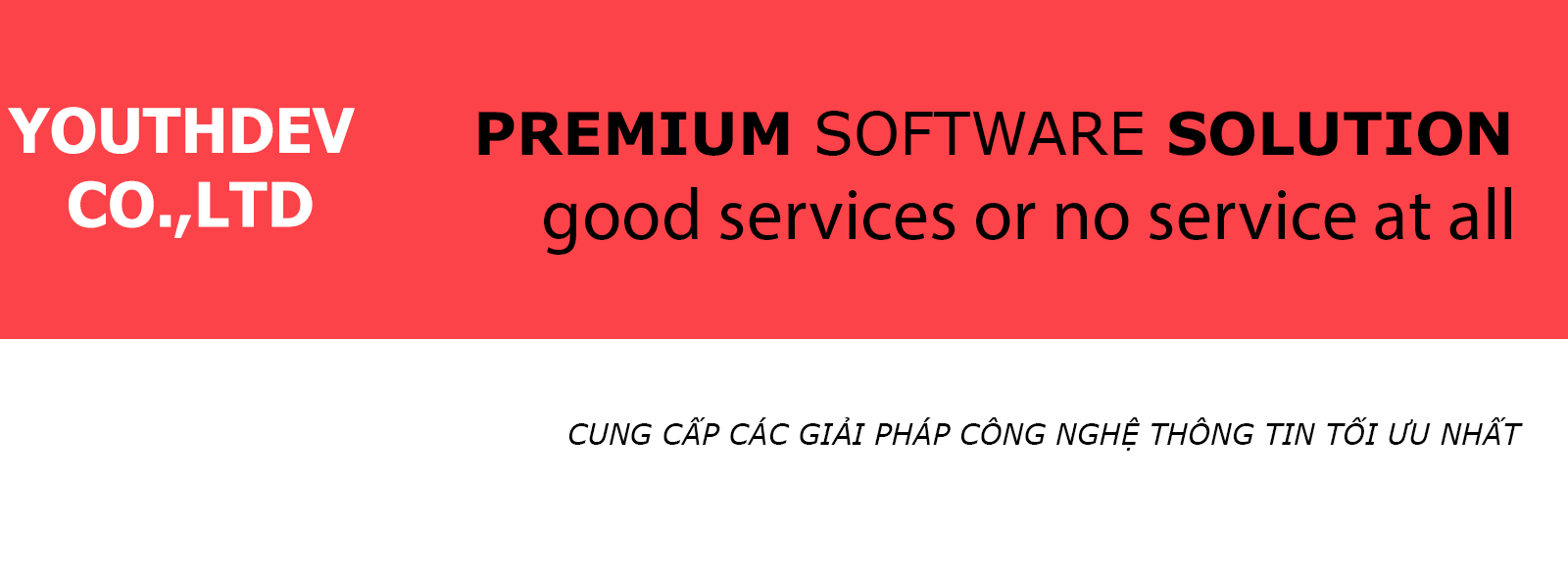 Cover image for YOUTHDEV