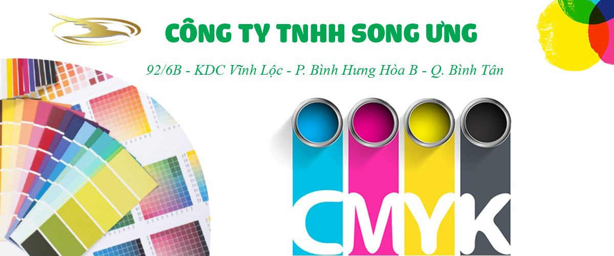 Cover image for Song Ưng