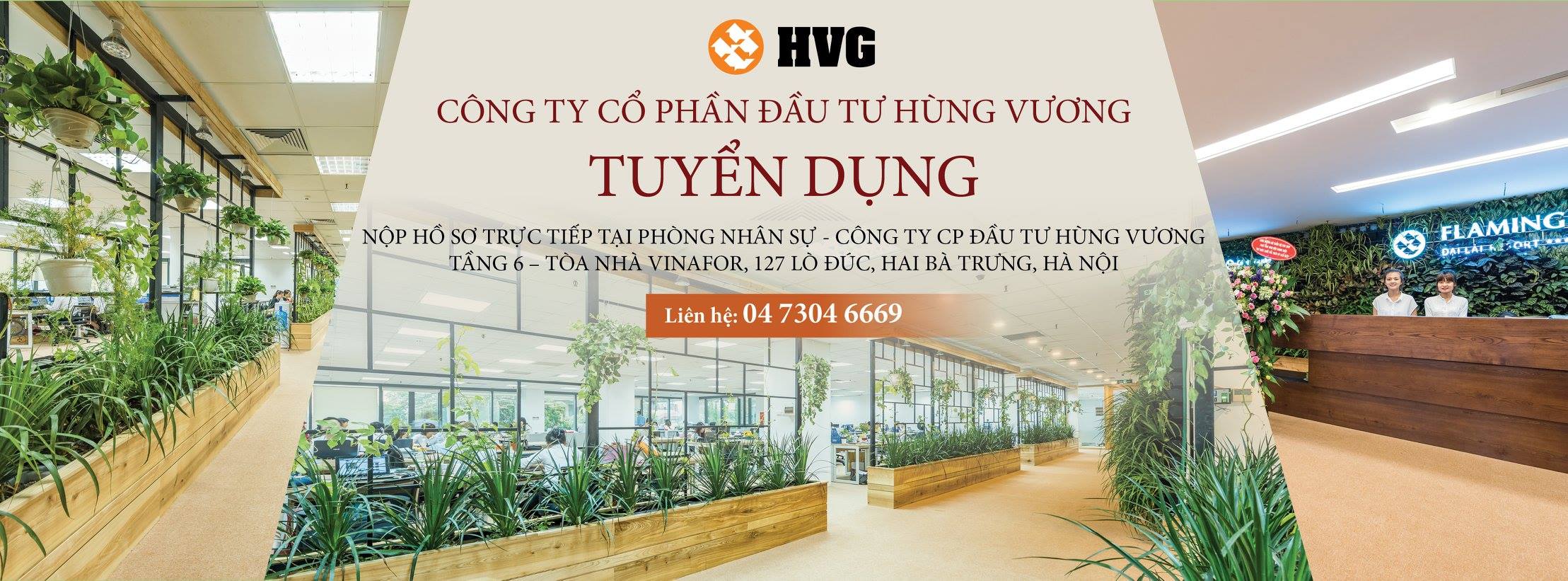 Cover image for Flamingo Holding Group