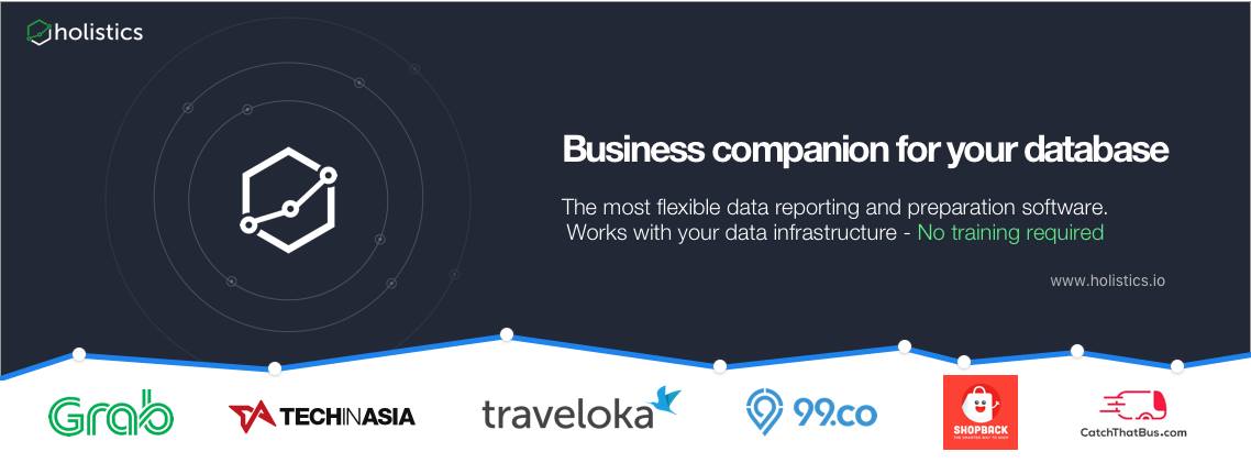 Cover image for Holistics