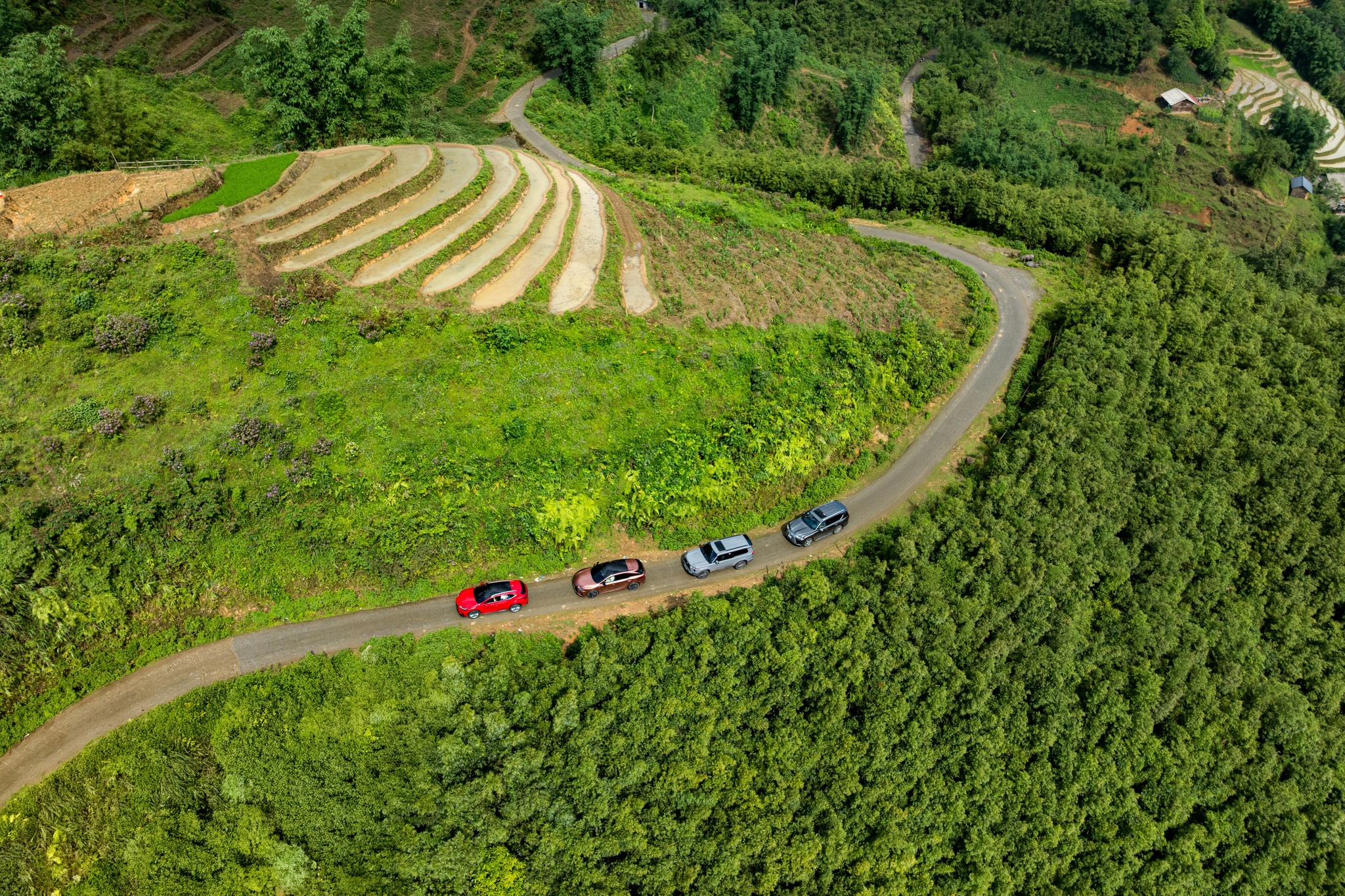 Cover image for Lexus Trung Tâm Sài Gòn