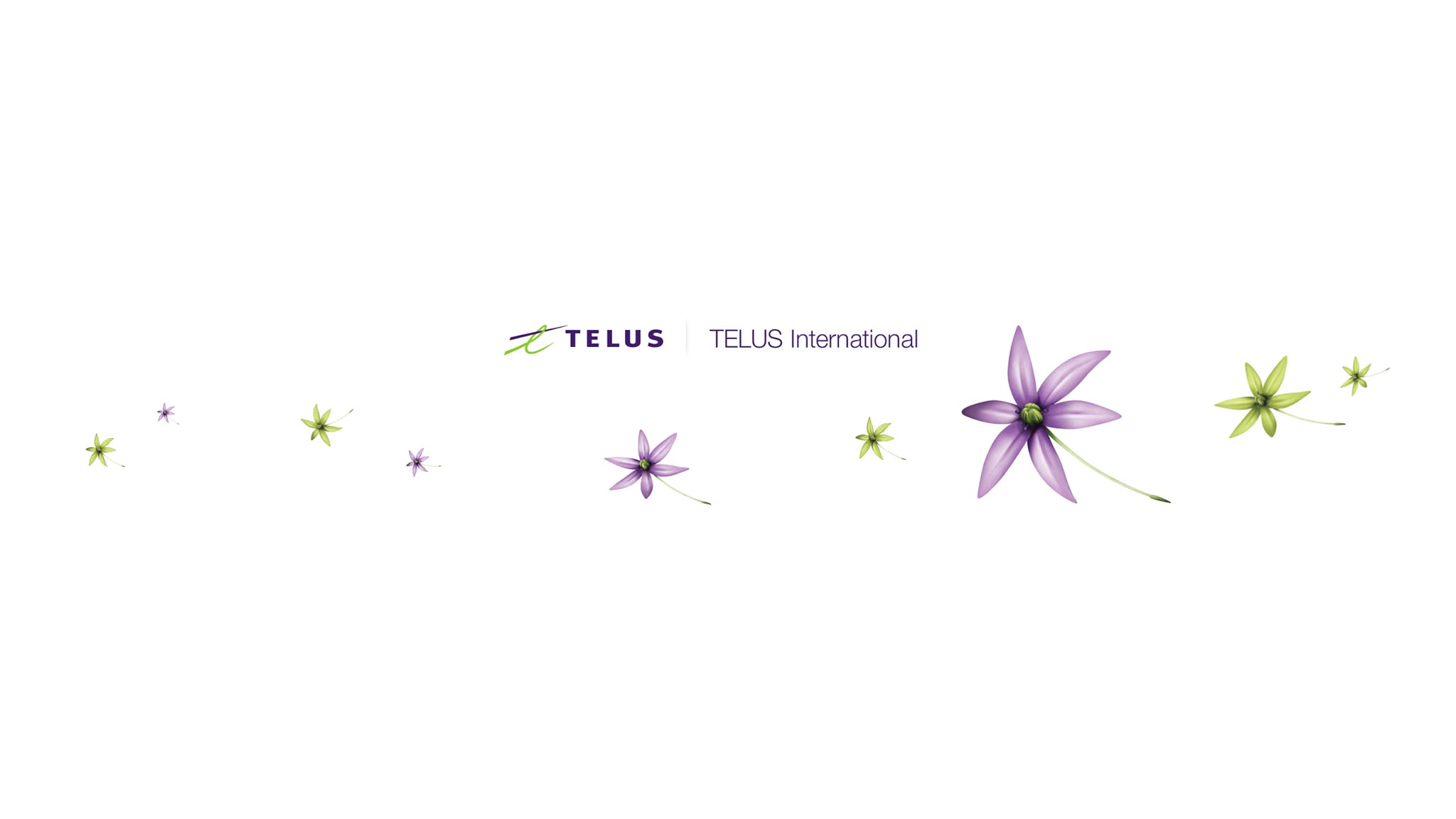 Cover image for TELUS Digital