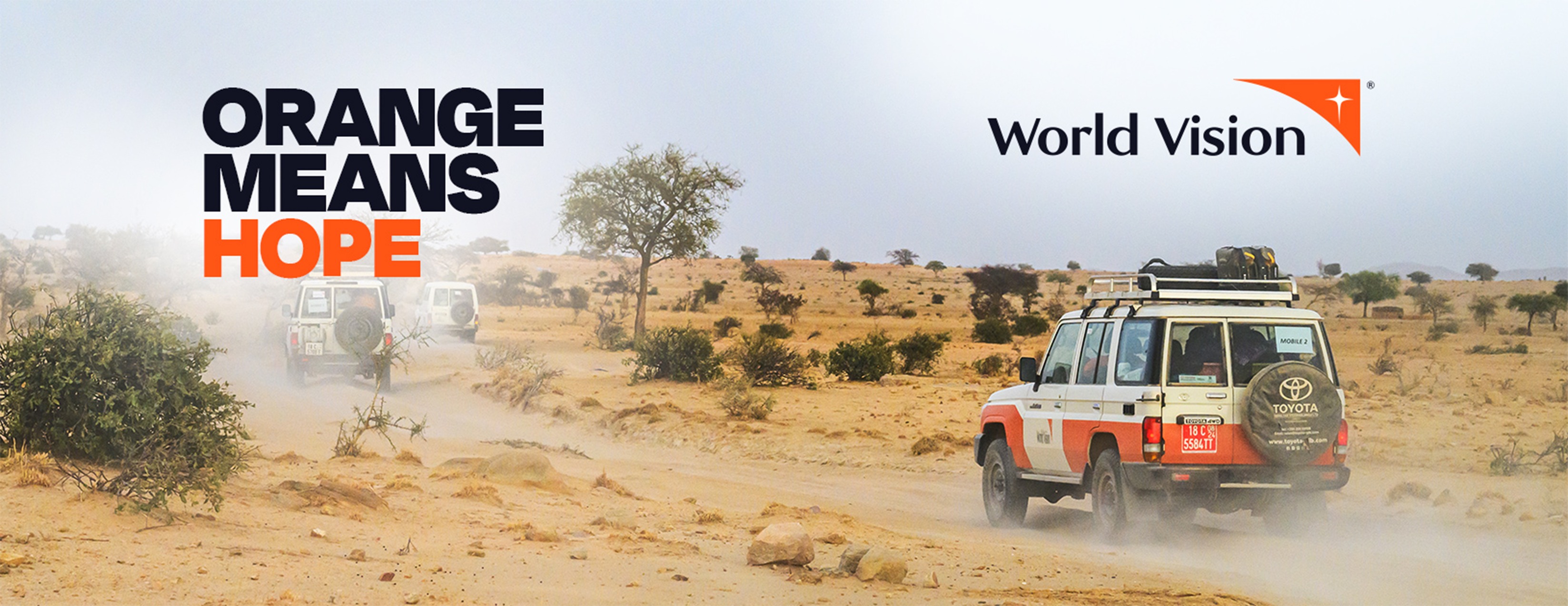 Cover image for Tổ chức Tầm nhìn thế giới tại Việt Nam