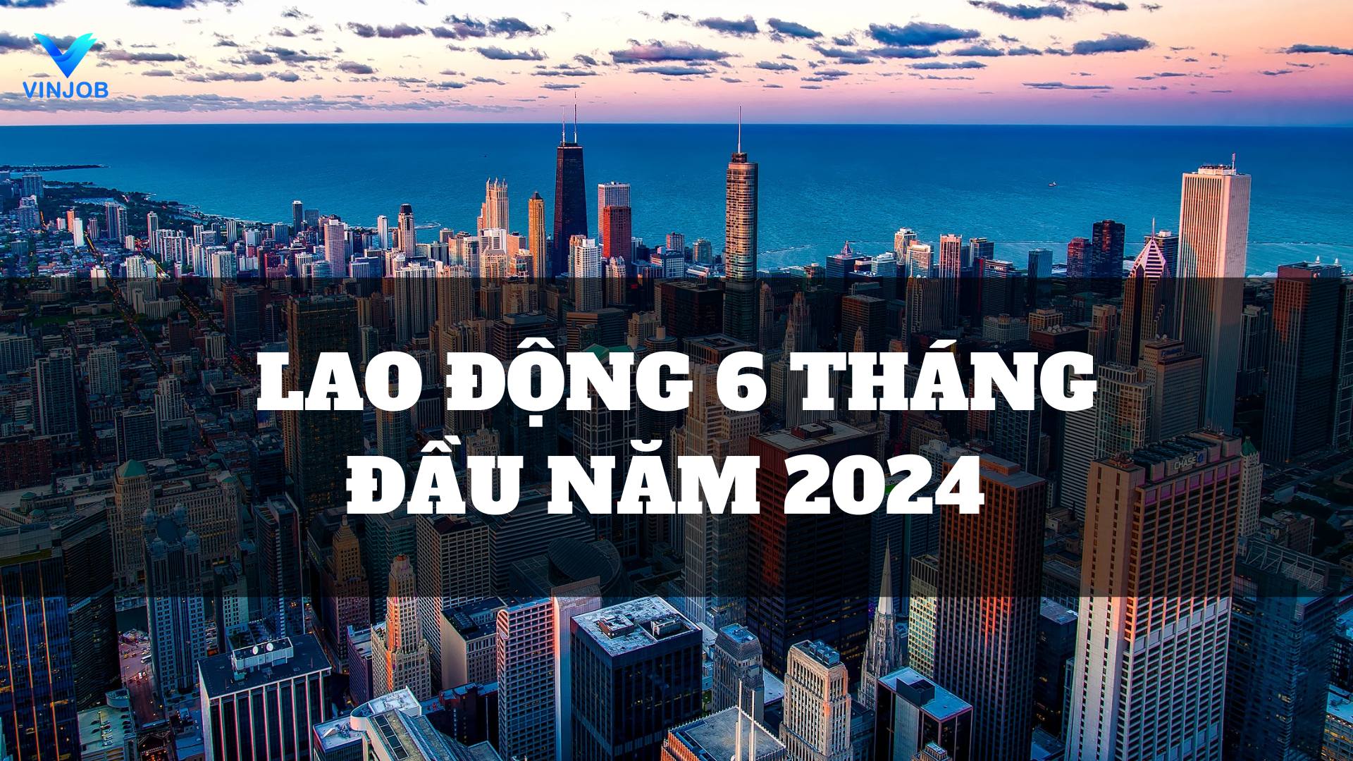 Cover image for VINJOB