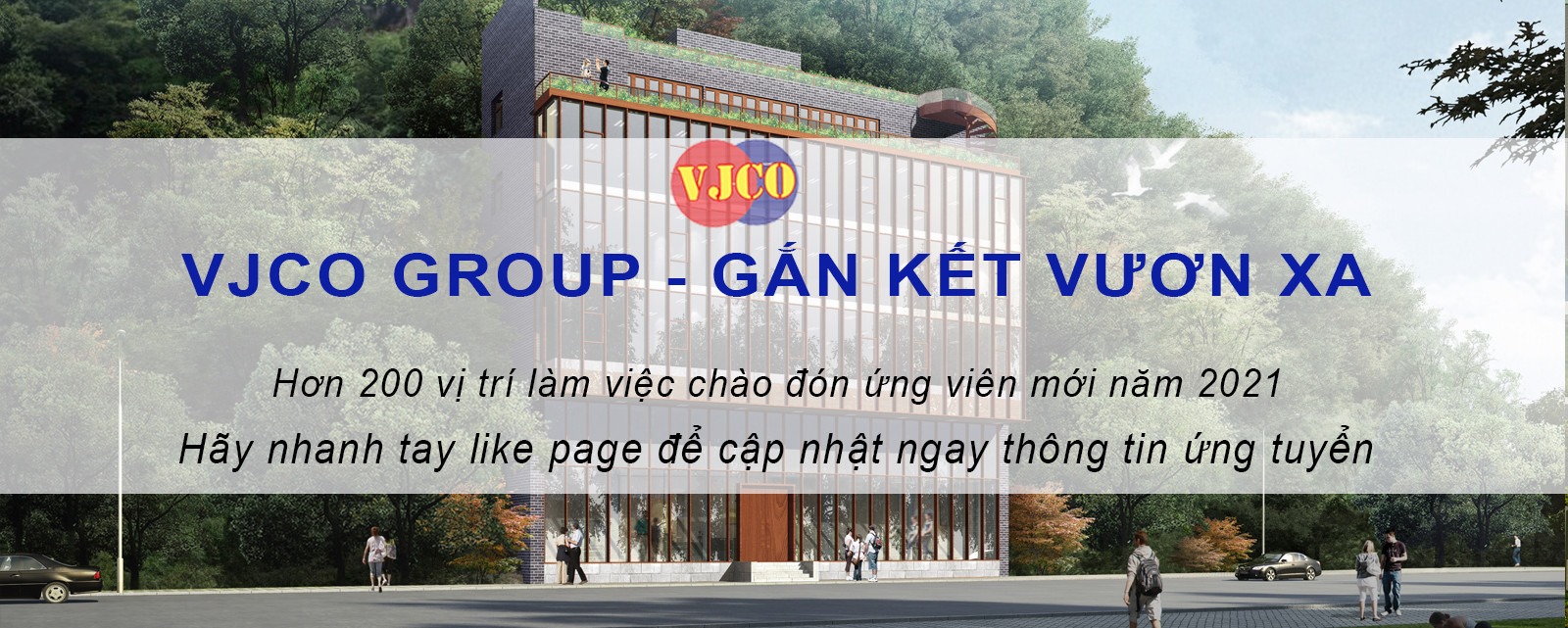 Cover image for VJCO GROUP