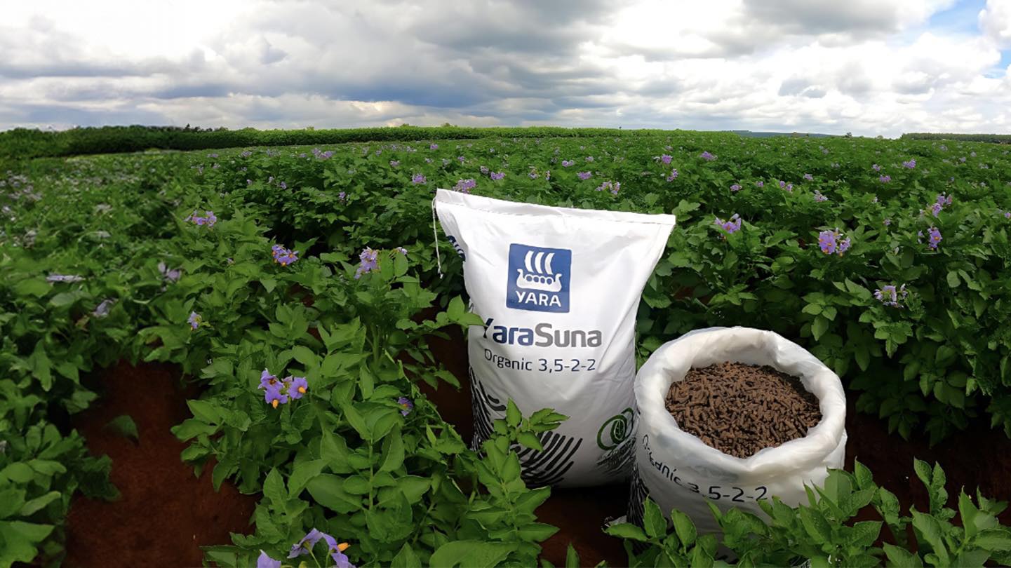 Cover image for Yara Vietnam Ltd.