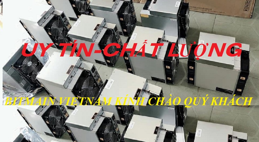 Cover image for Bitmain Việt Nam