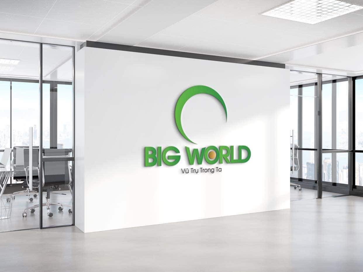 Cover image for Đầu Tư Big World Holding