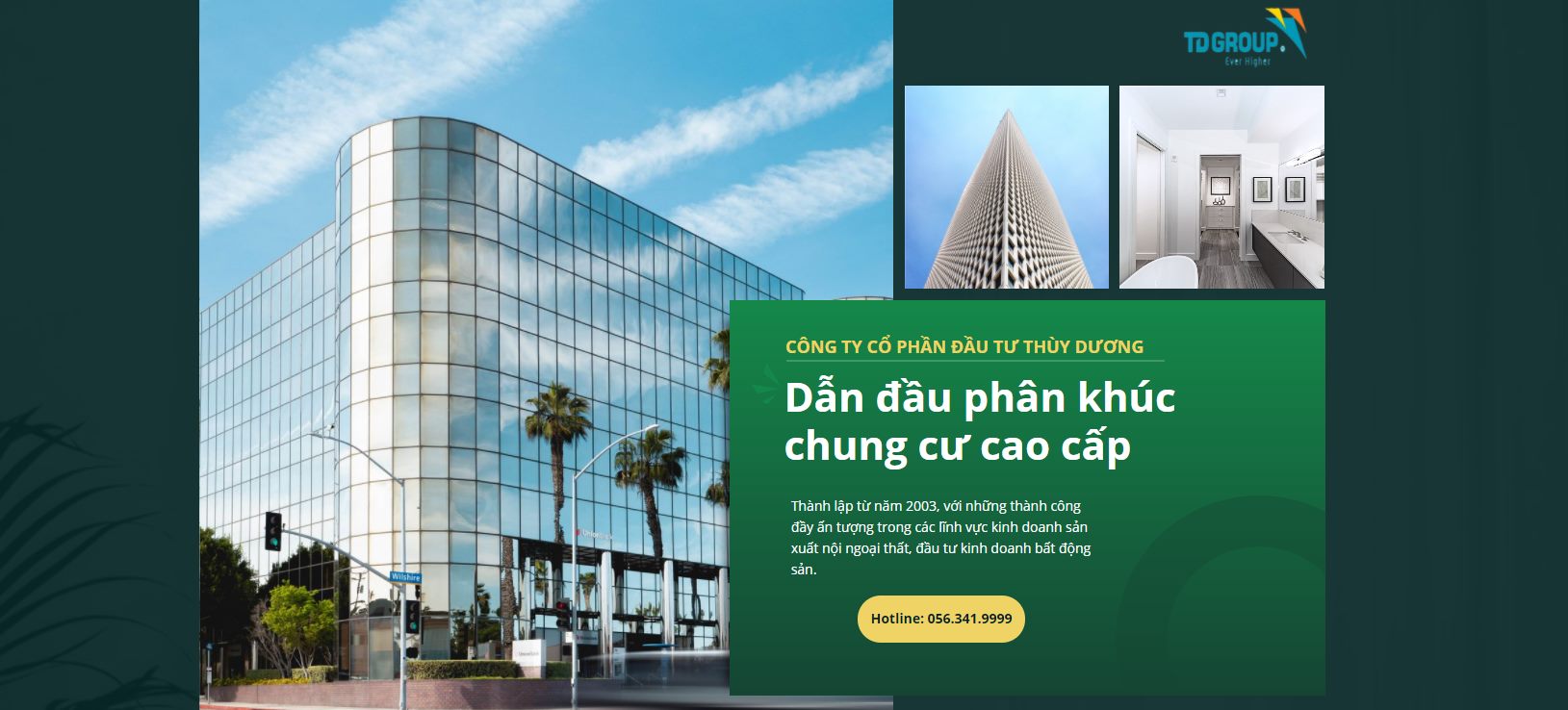 Cover image for Đầu Tư Thuỳ Dương