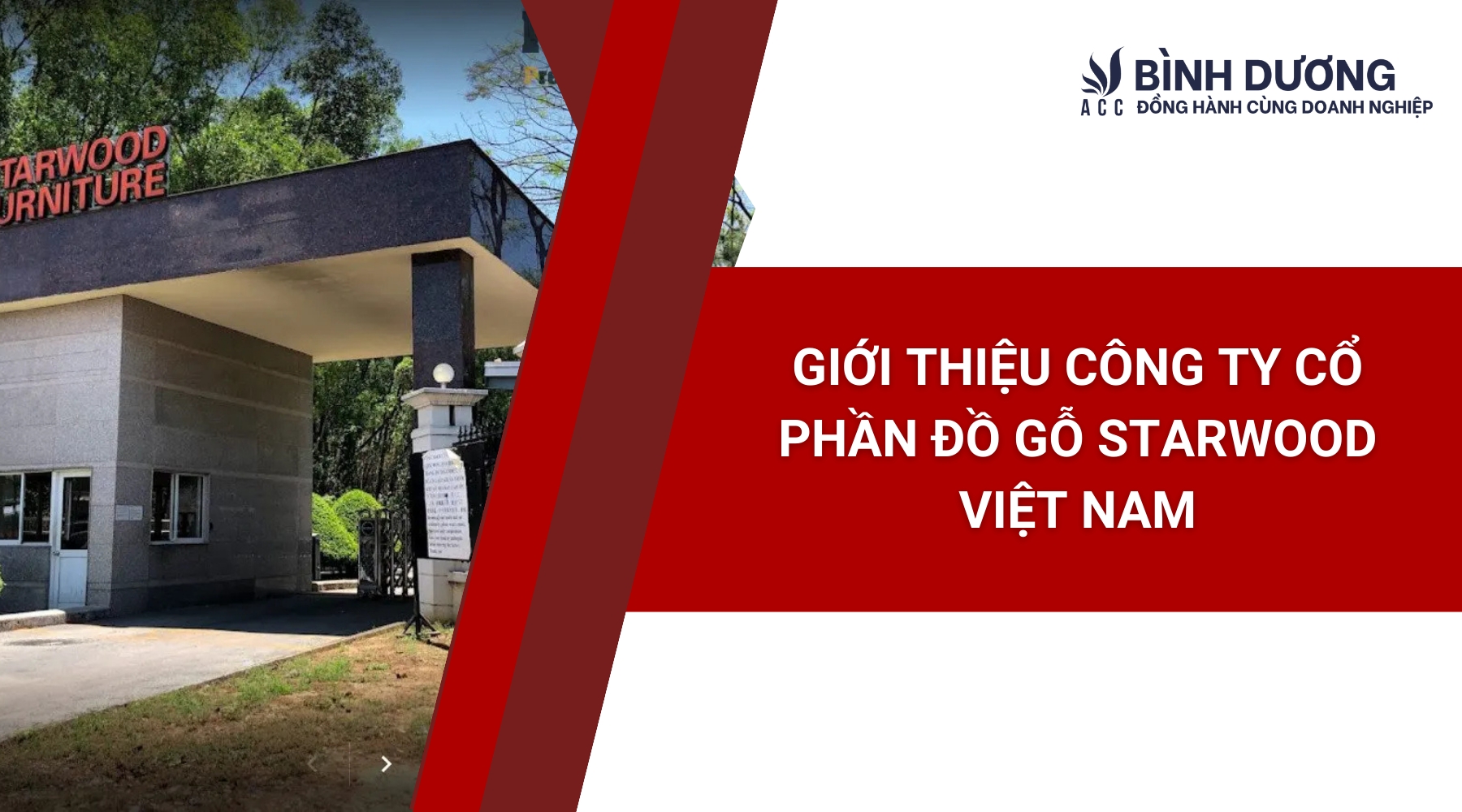 Cover image for Starwood Việt Nam