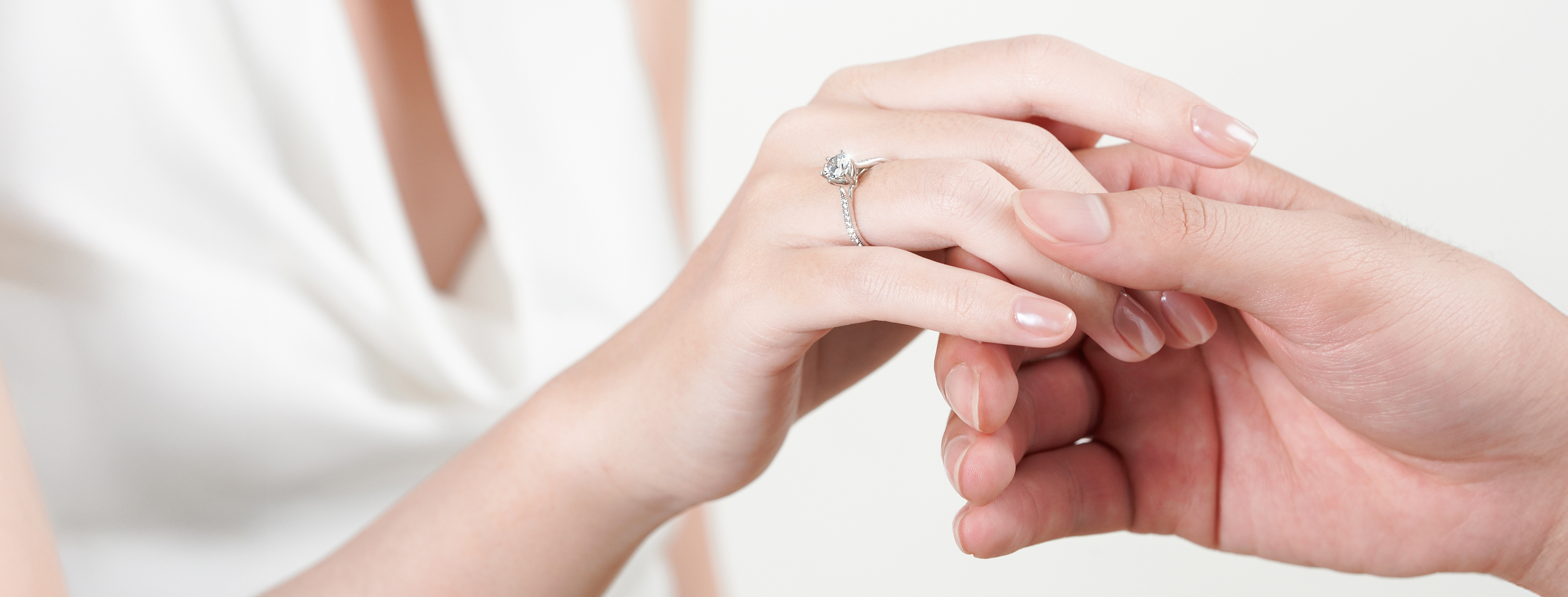 Cover image for Công Ty Cổ Phần Tierra