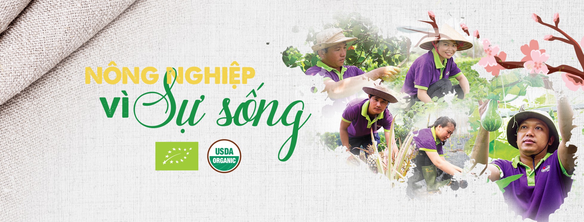 Cover image for Vinamit