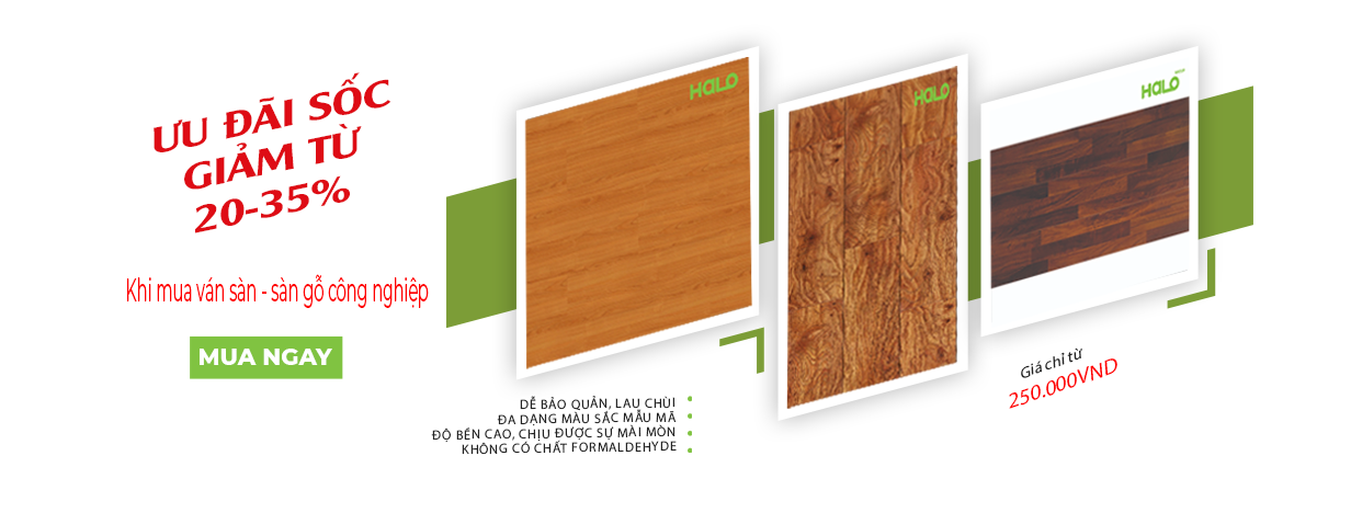 Cover image for Cổ phần Tập đoàn HALO