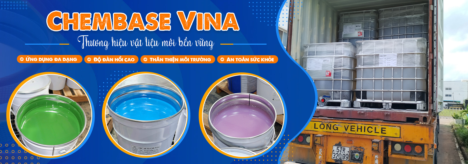 Cover image for CHEMBASE VINA