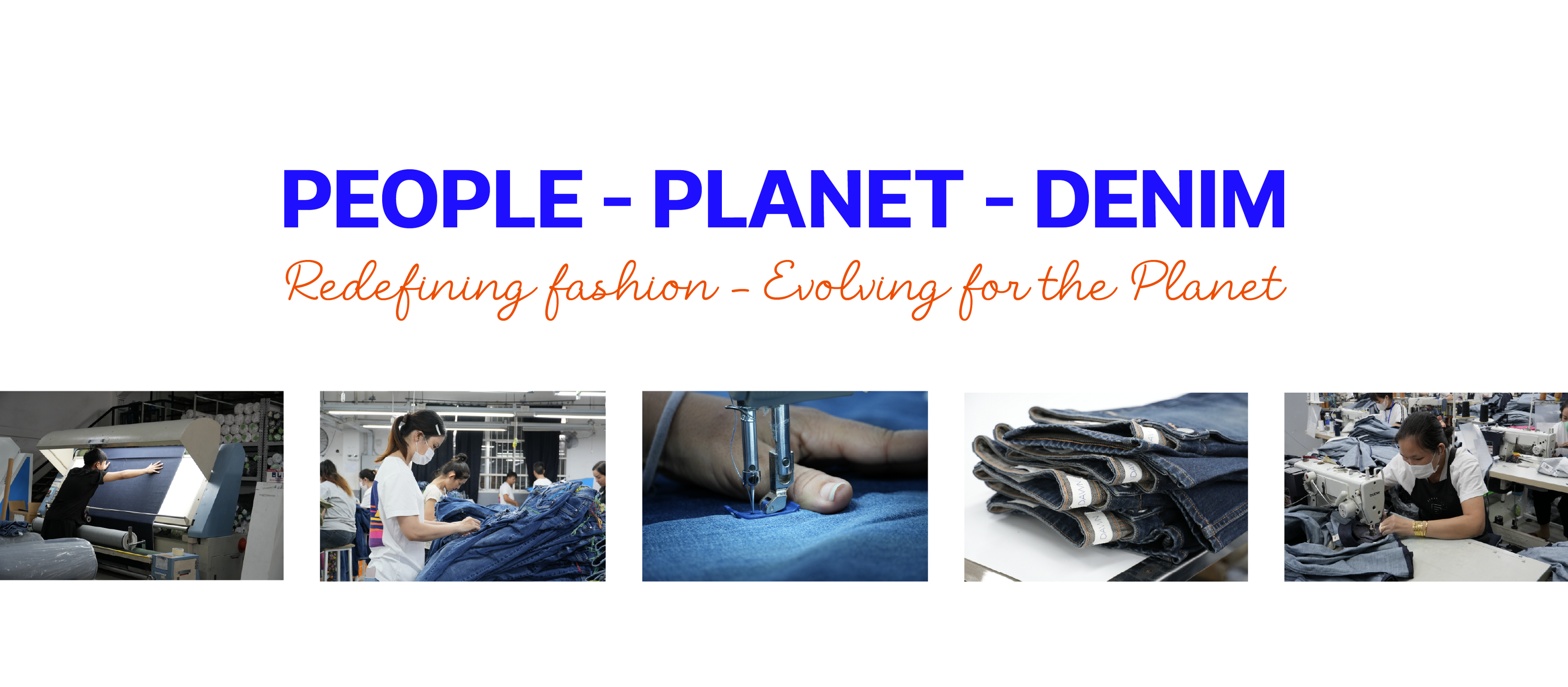 Cover image for Evolution Enterprises