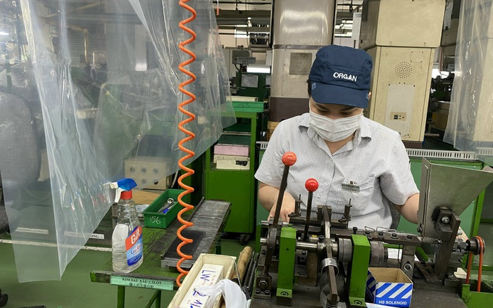 Cover image for Kim May Organ Việt Nam