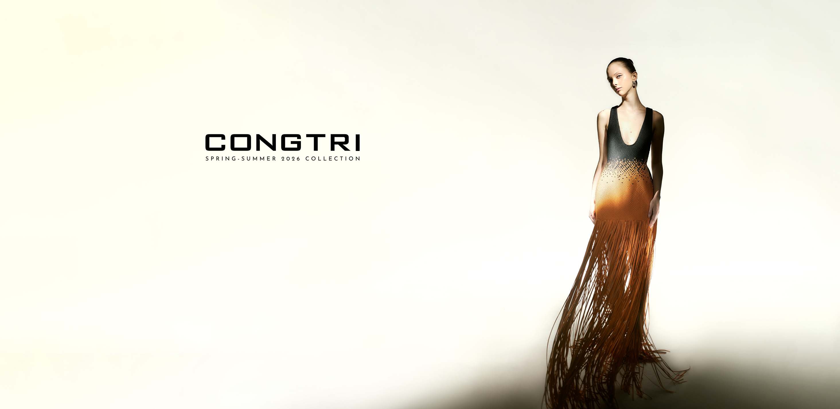 Cover image for TNHH Nguyễn Công Trí